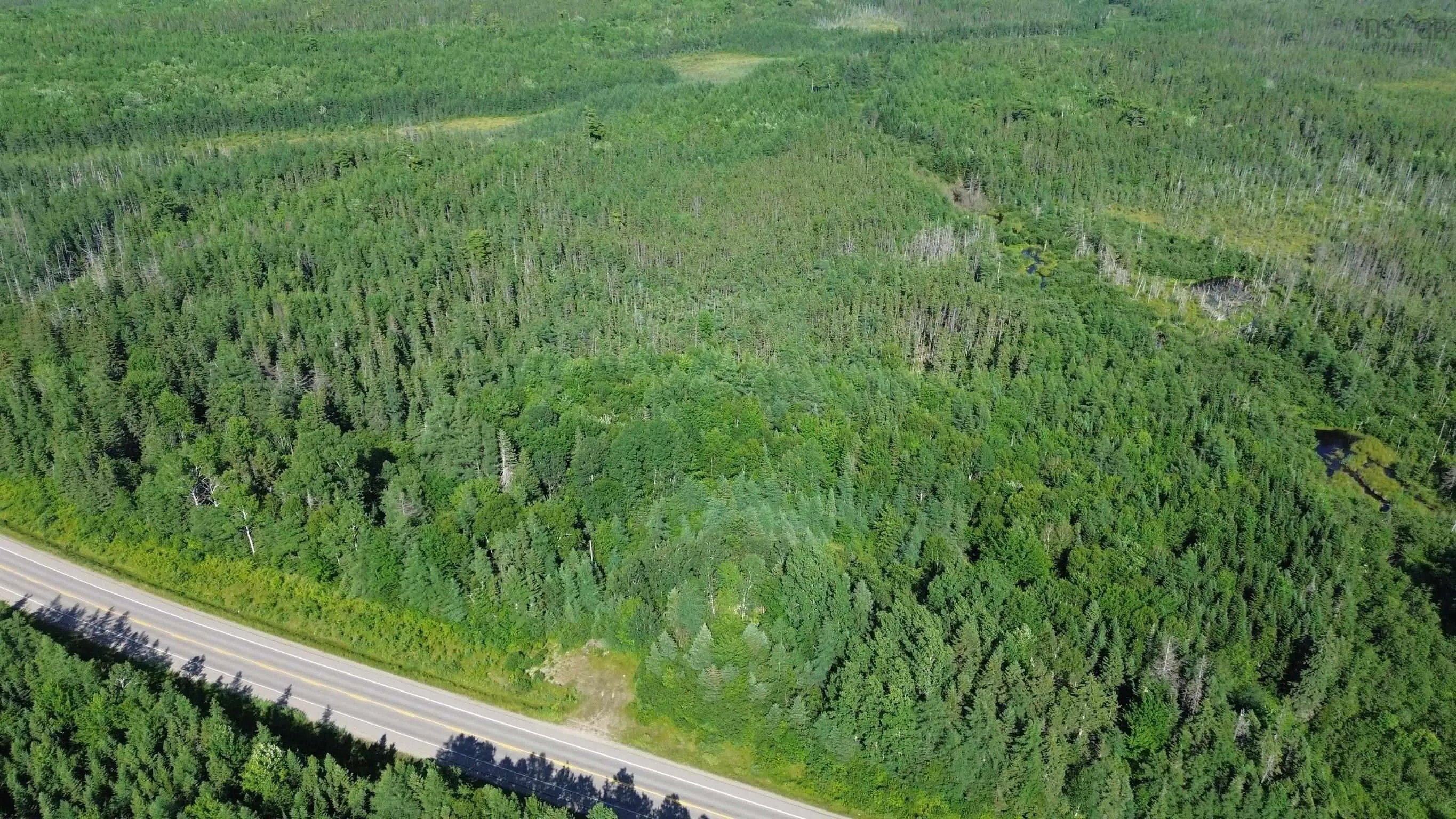 Highway 105, Kingsville, NS B0E 3L0, ,Land,For Sale,Highway 105,202517706