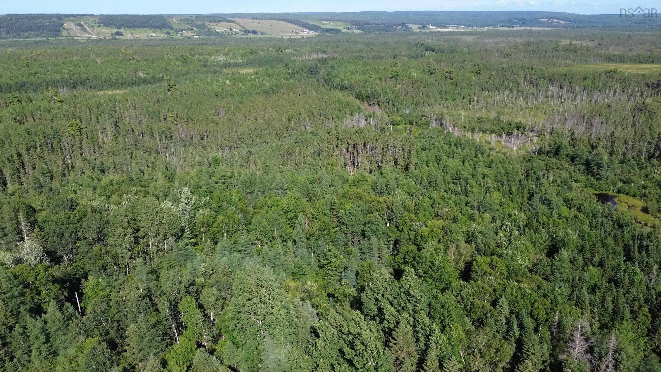 Highway 105, Kingsville, NS B0E 3L0, ,Land,For Sale,Highway 105,202517706