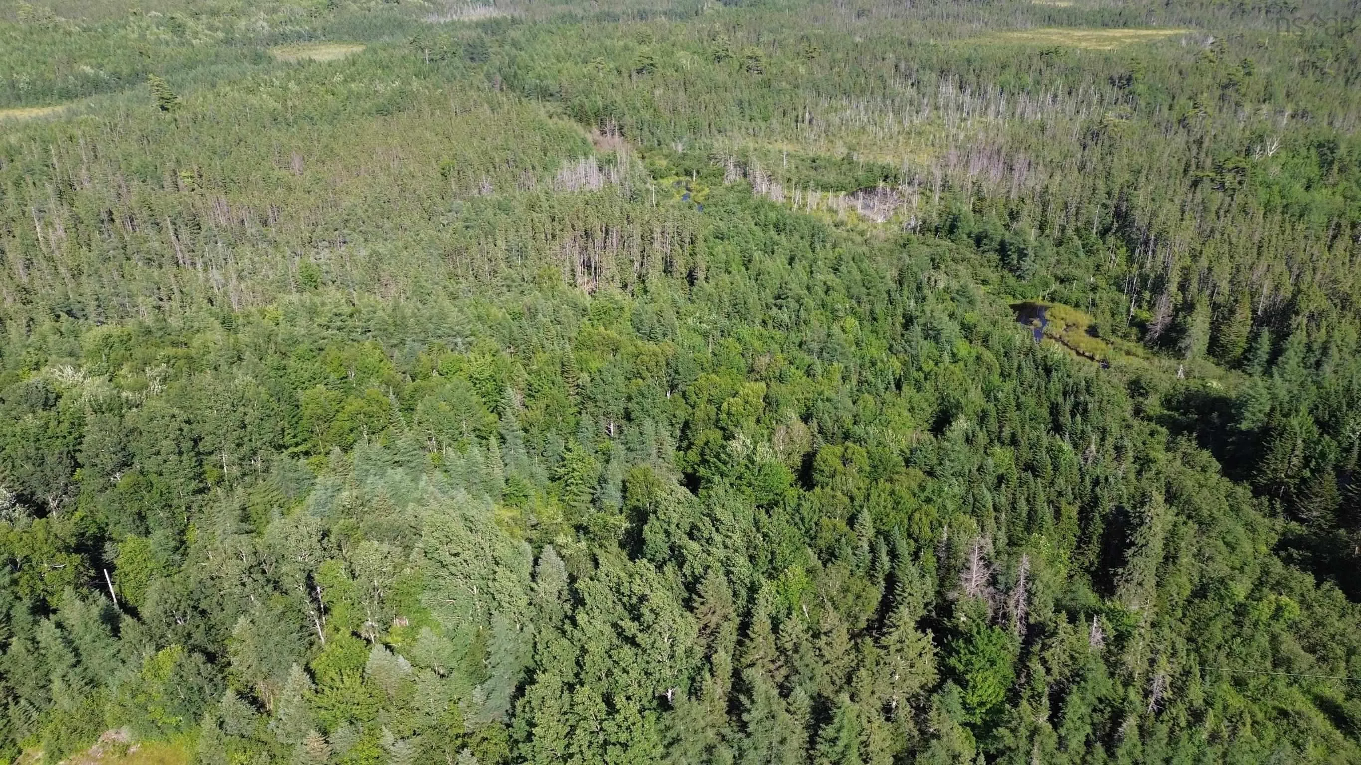 Highway 105, Kingsville, NS B0E 3L0, ,Land,For Sale,Highway 105,202517706