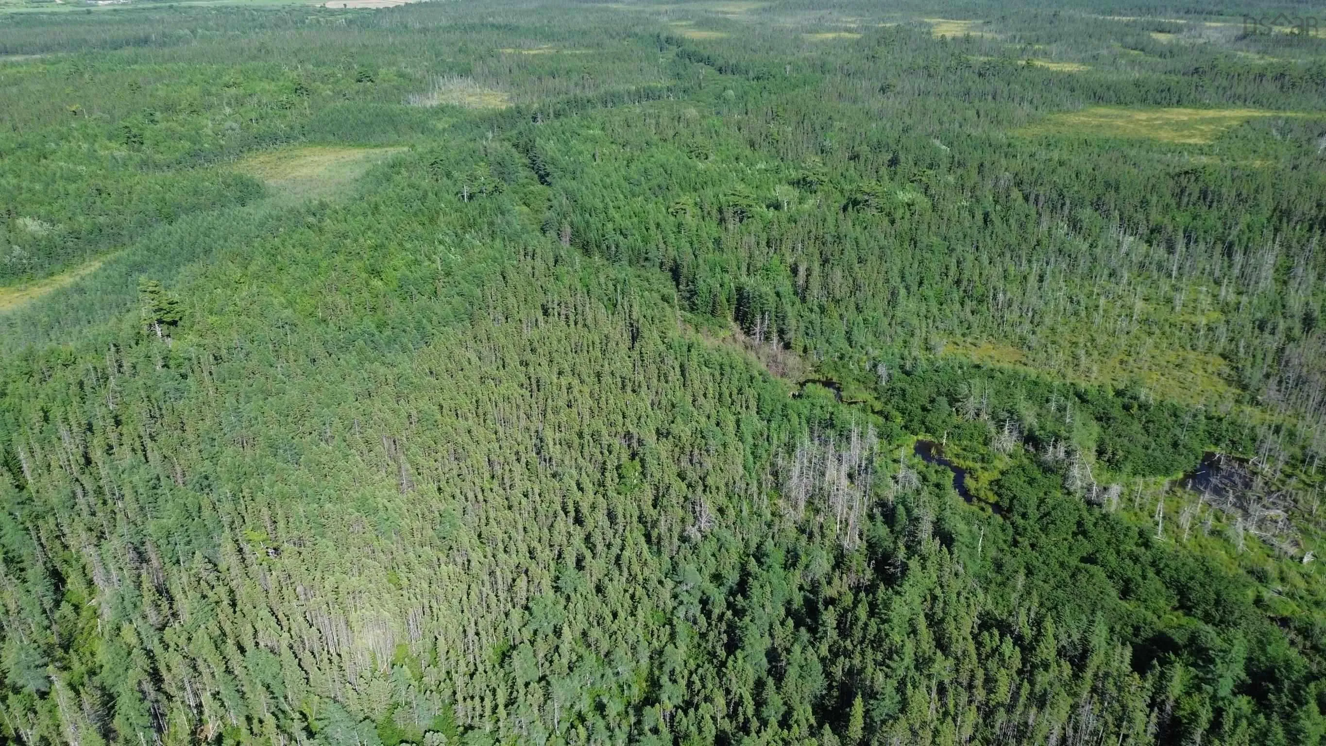 Highway 105, Kingsville, NS B0E 3L0, ,Land,For Sale,Highway 105,202517706