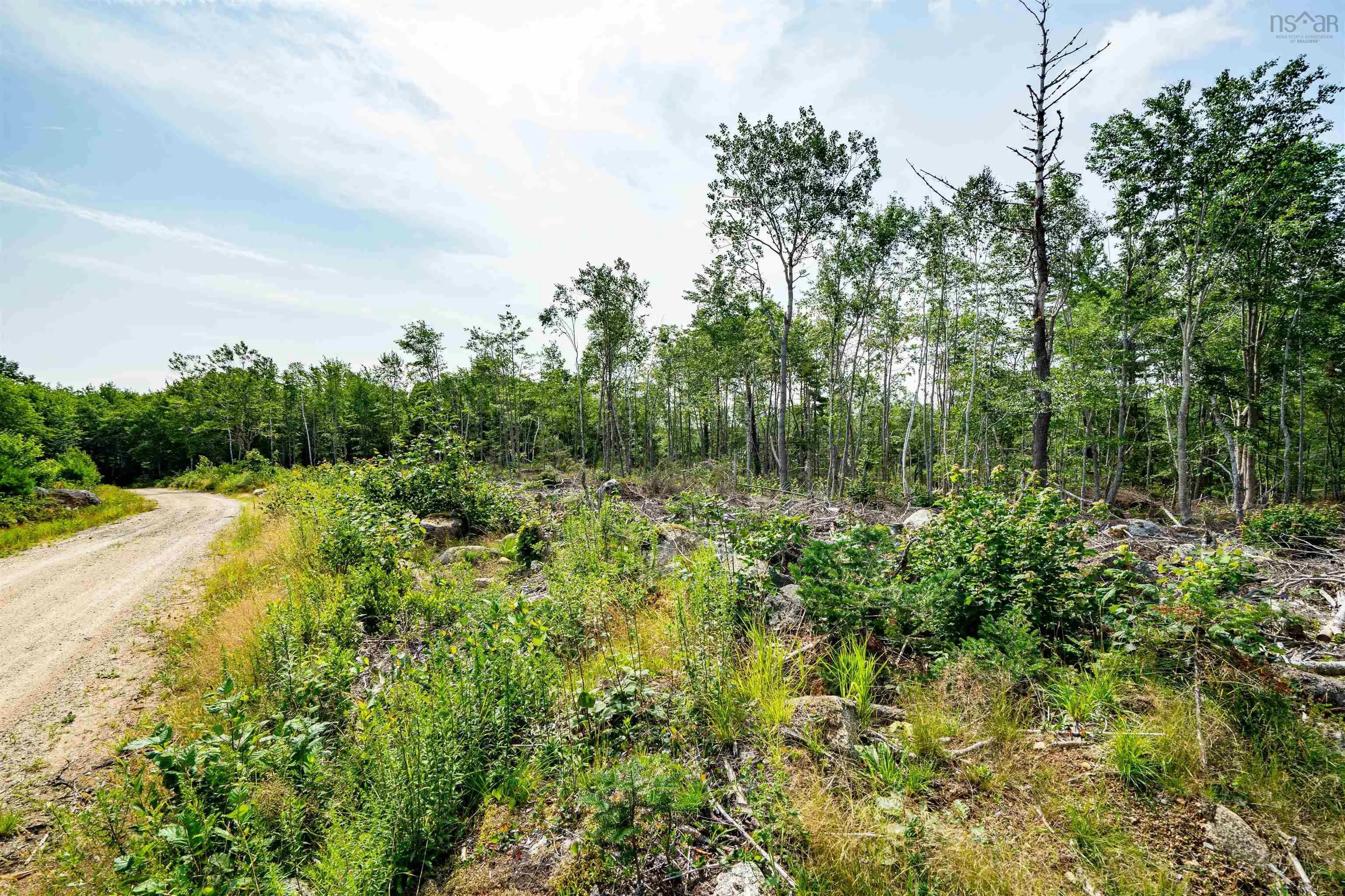 3 Victory Lane, Victory Ns B0s 1a0, ,Land,For Sale,Victory,202509683