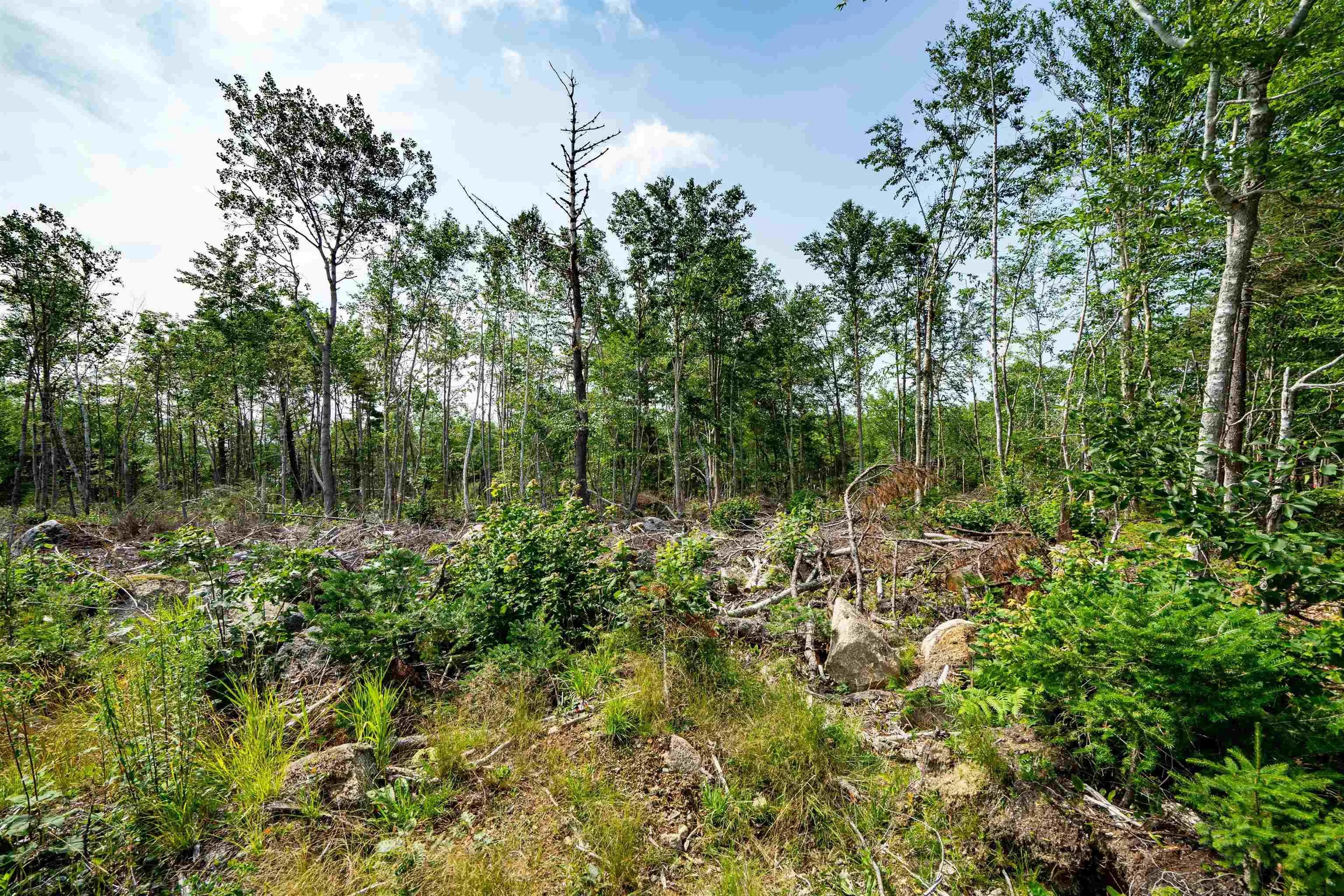 3 Victory Lane, Victory Ns B0s 1a0, ,Land,For Sale,Victory,202509683