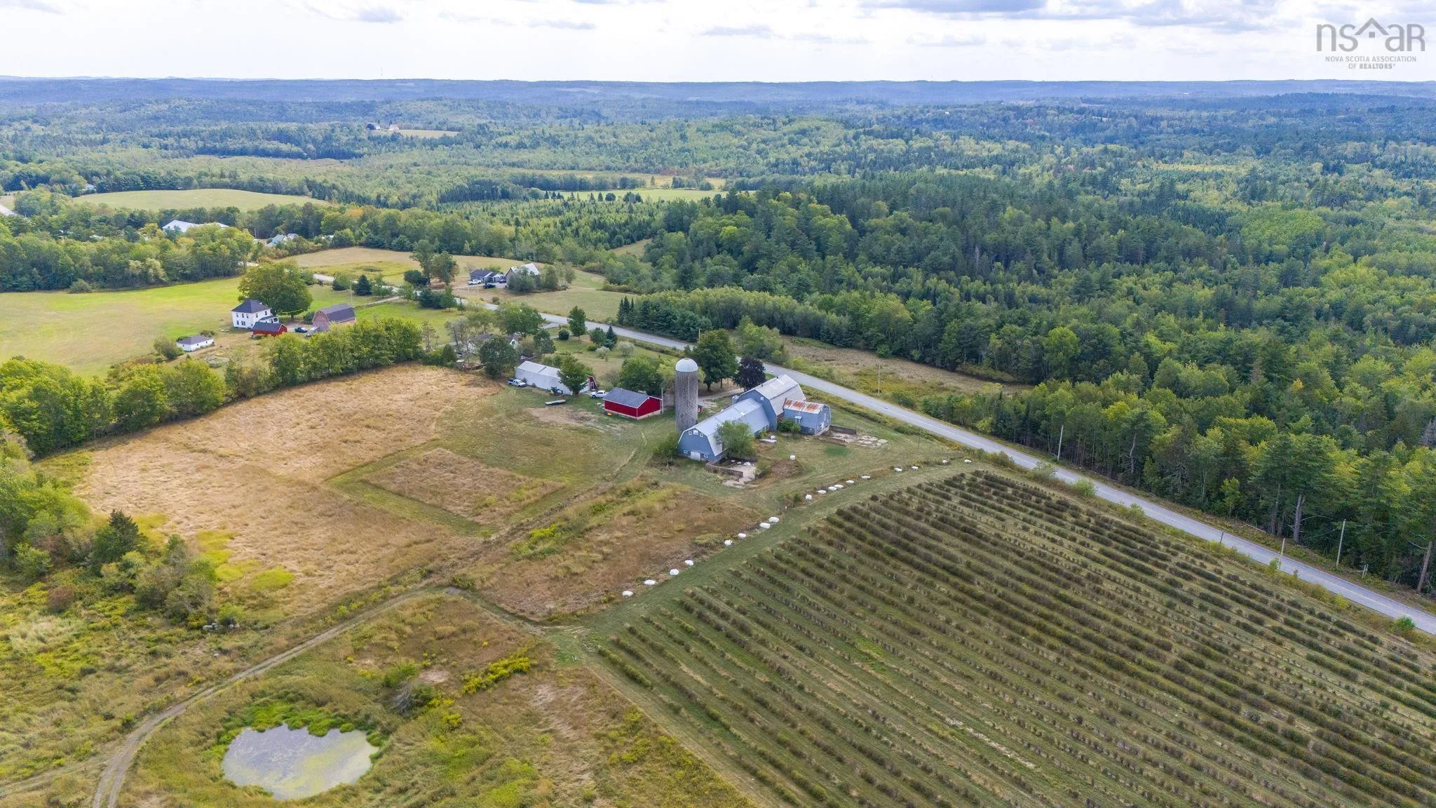 Lot L2a Lower Branch Road, New Canada, NS B4V 4V5, ,Land,For Sale,Lower Branch,202523011