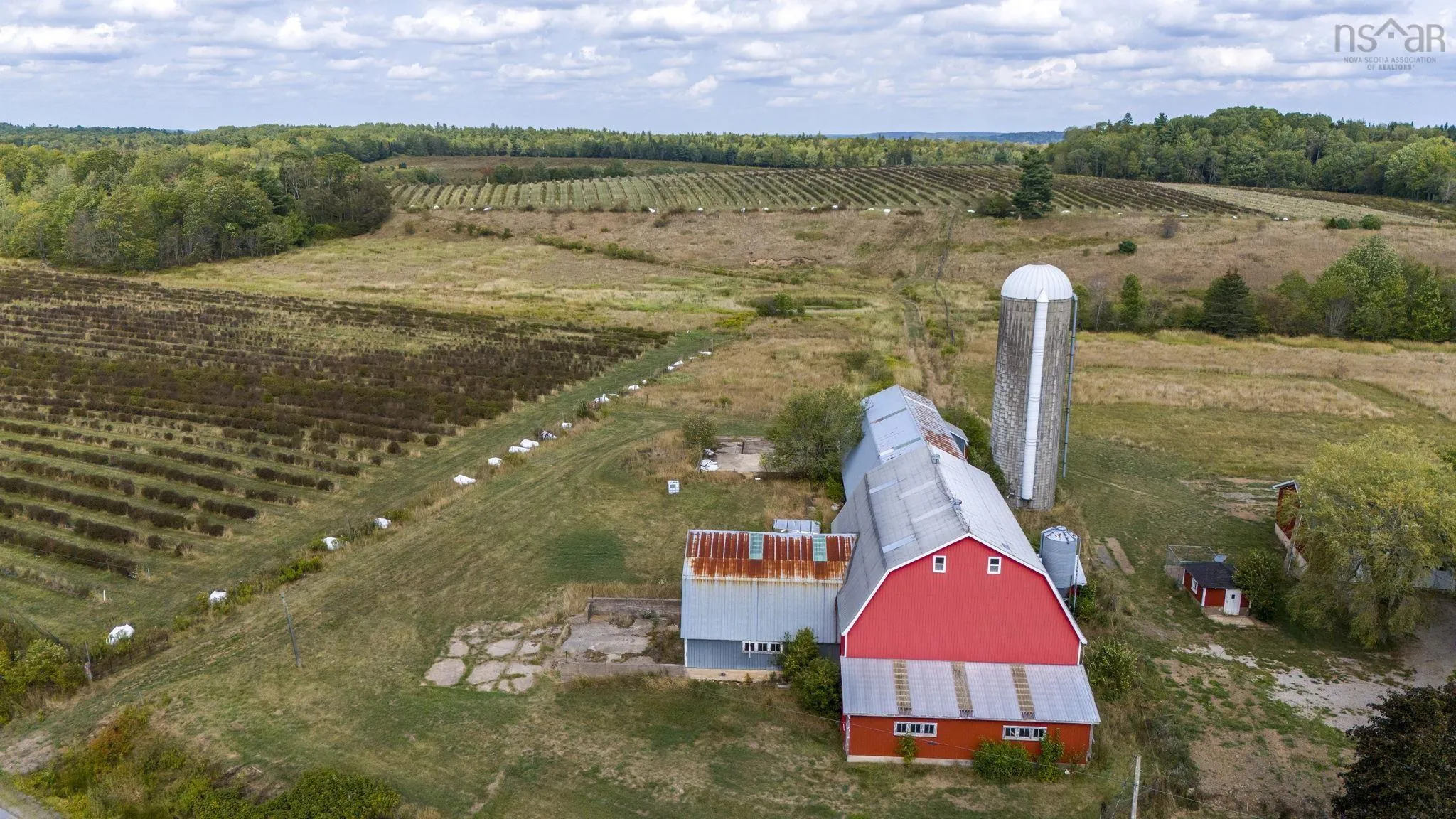 Lot L2a Lower Branch Road, New Canada, NS B4V 4V5, ,Land,For Sale,Lower Branch,202523011