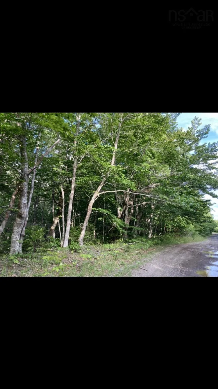 Simon's Rd., Frankville Ns B0h 1p0, ,Land,For Sale,Simon's Rd.,202320942