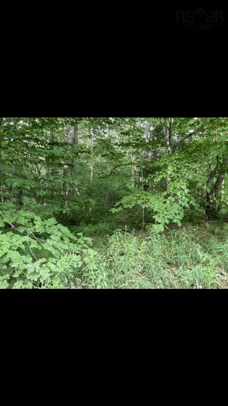 Simon's Rd., Frankville Ns B0h 1p0, ,Land,For Sale,Simon's Rd.,202320942