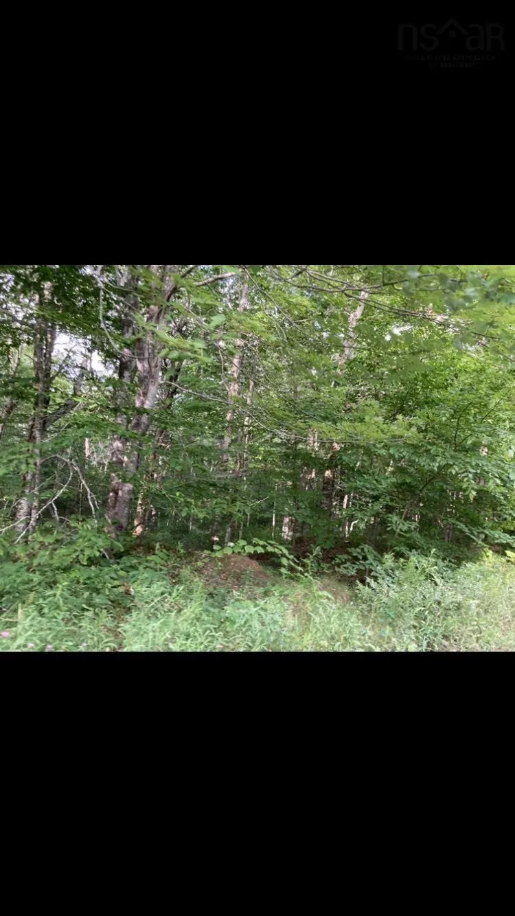 Simon's Rd., Frankville Ns B0h 1p0, ,Land,For Sale,Simon's Rd.,202320942