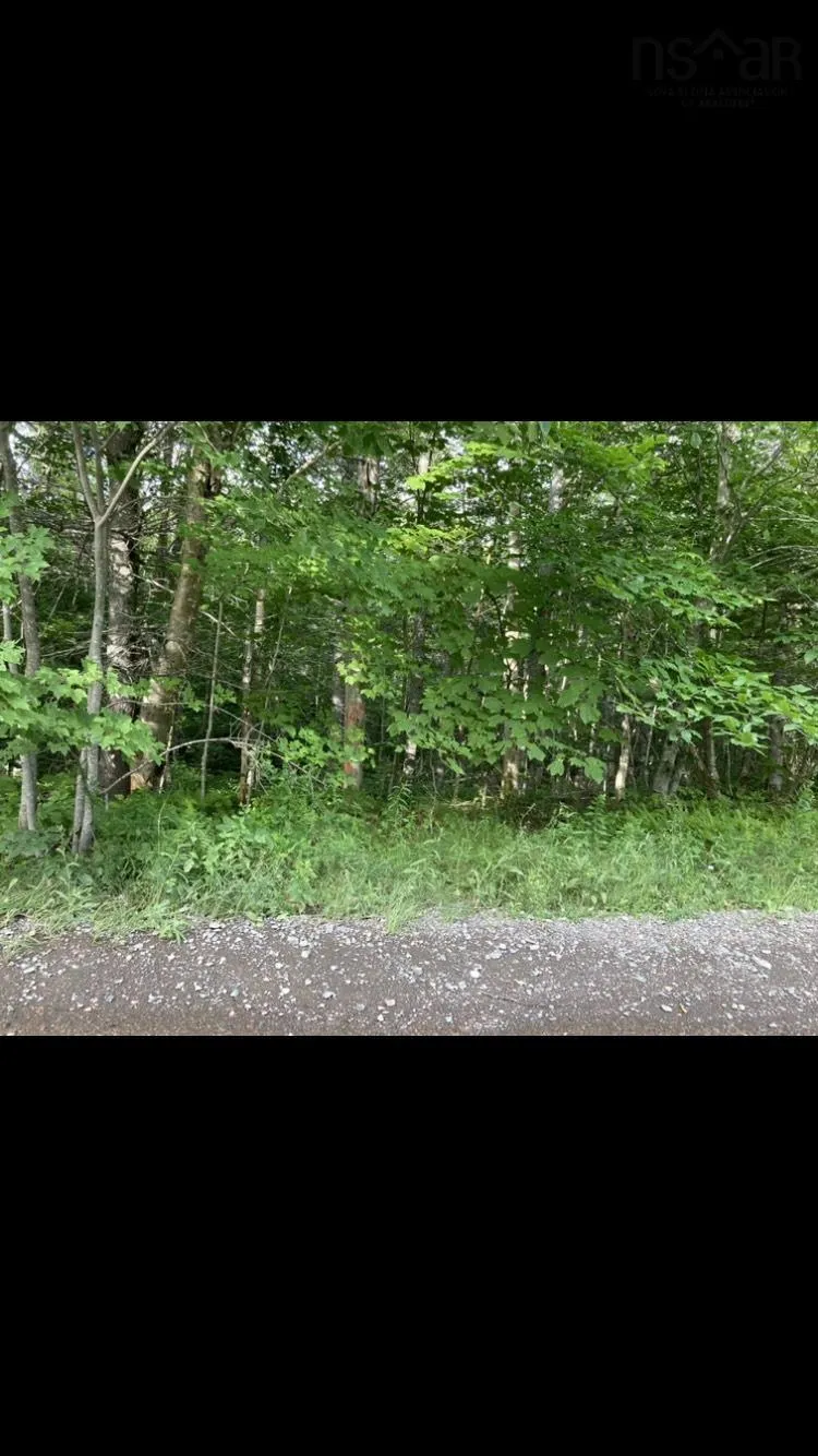 Simon's Rd., Frankville Ns B0h 1p0, ,Land,For Sale,Simon's Rd.,202320942