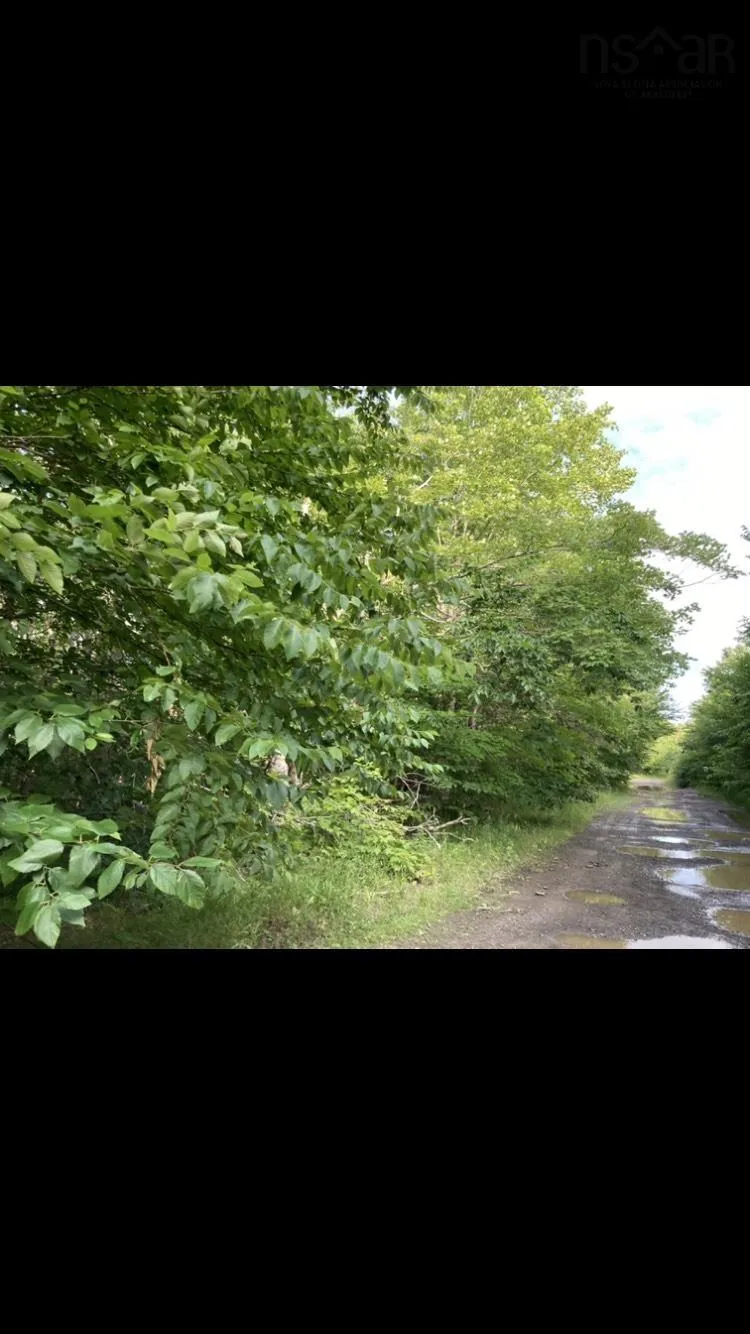 Simon's Rd., Frankville Ns B0h 1p0, ,Land,For Sale,Simon's Rd.,202320942