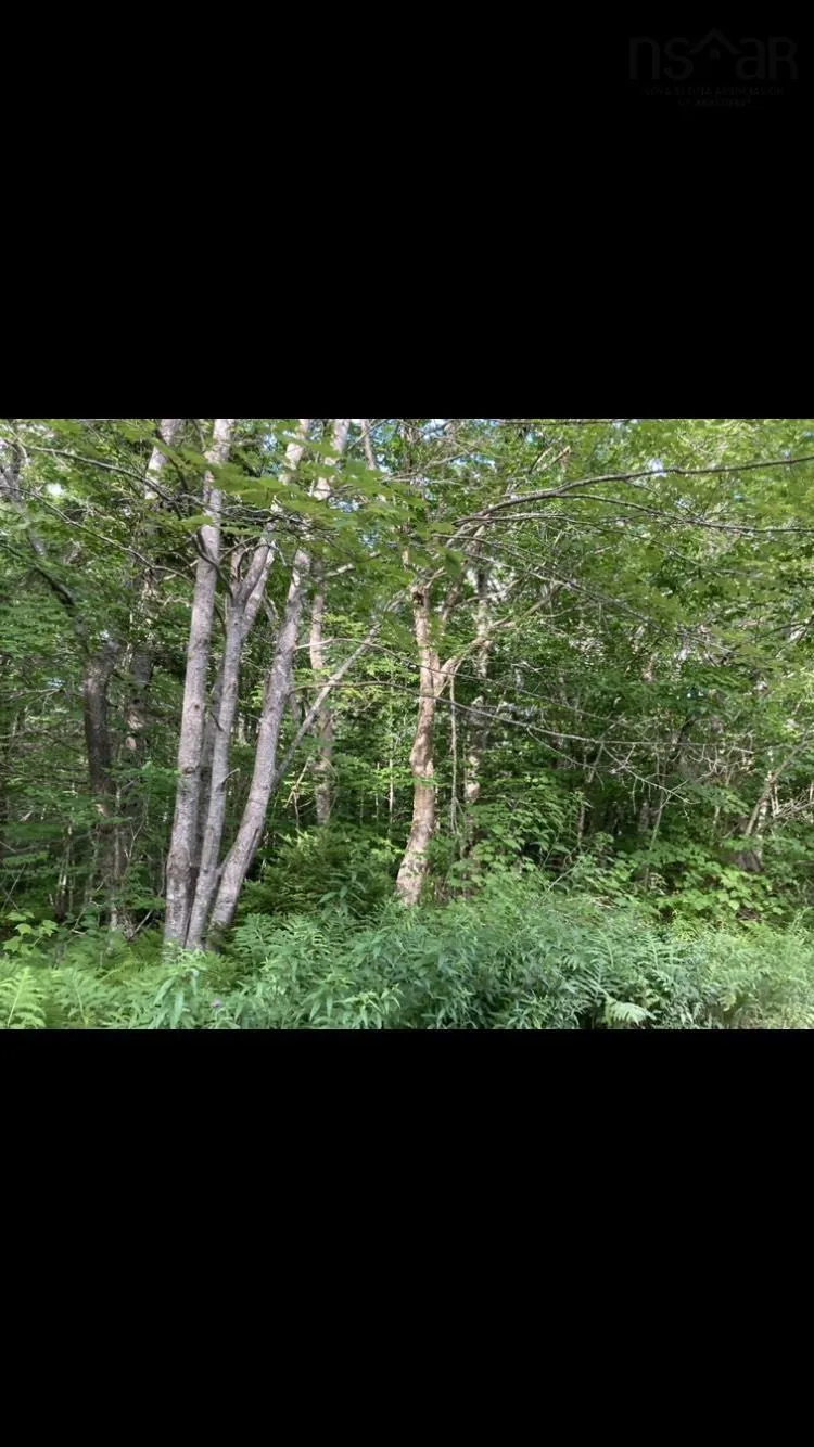 Simon's Rd., Frankville Ns B0h 1p0, ,Land,For Sale,Simon's Rd.,202320942