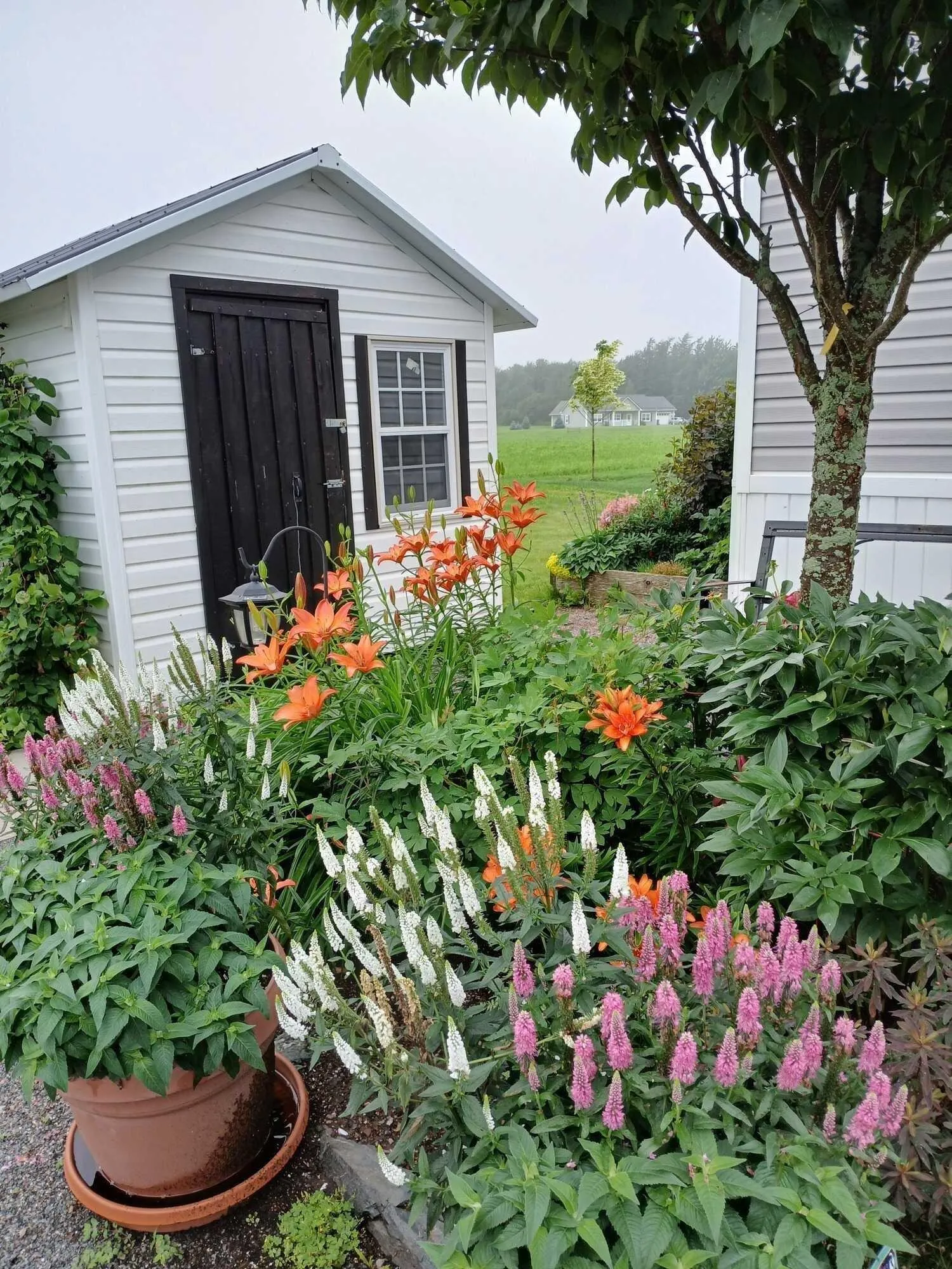 143 Board Landing Road, Central Onslow Ns B6l 5a4, 3 Bedrooms Bedrooms, ,2 BathroomsBathrooms,Residential,For Sale,Board Landing,202504914