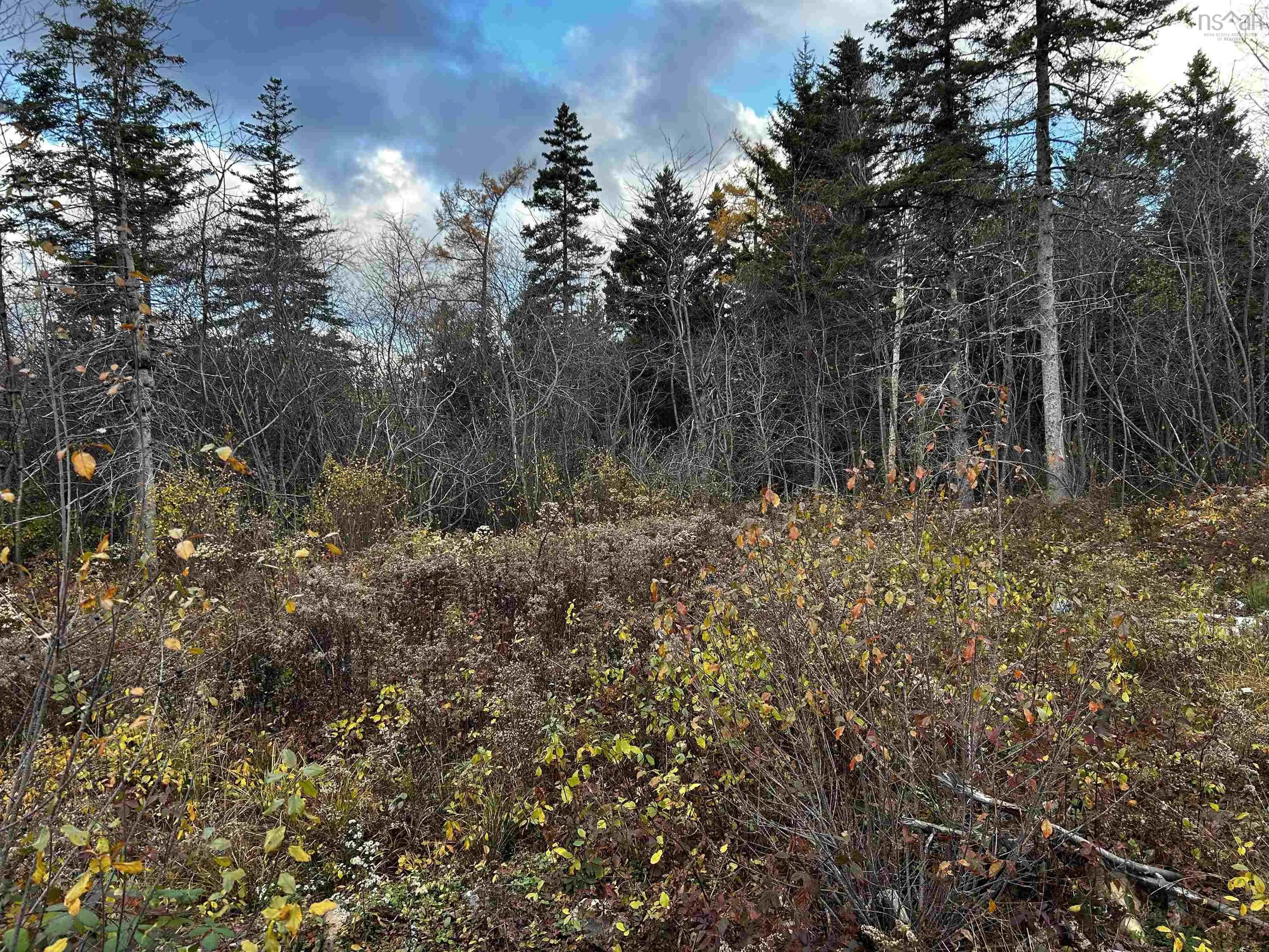381 Marshalltown Road, Marshalltown, NS B0V 1A0, ,Land,For Sale,Marshalltown,202513285