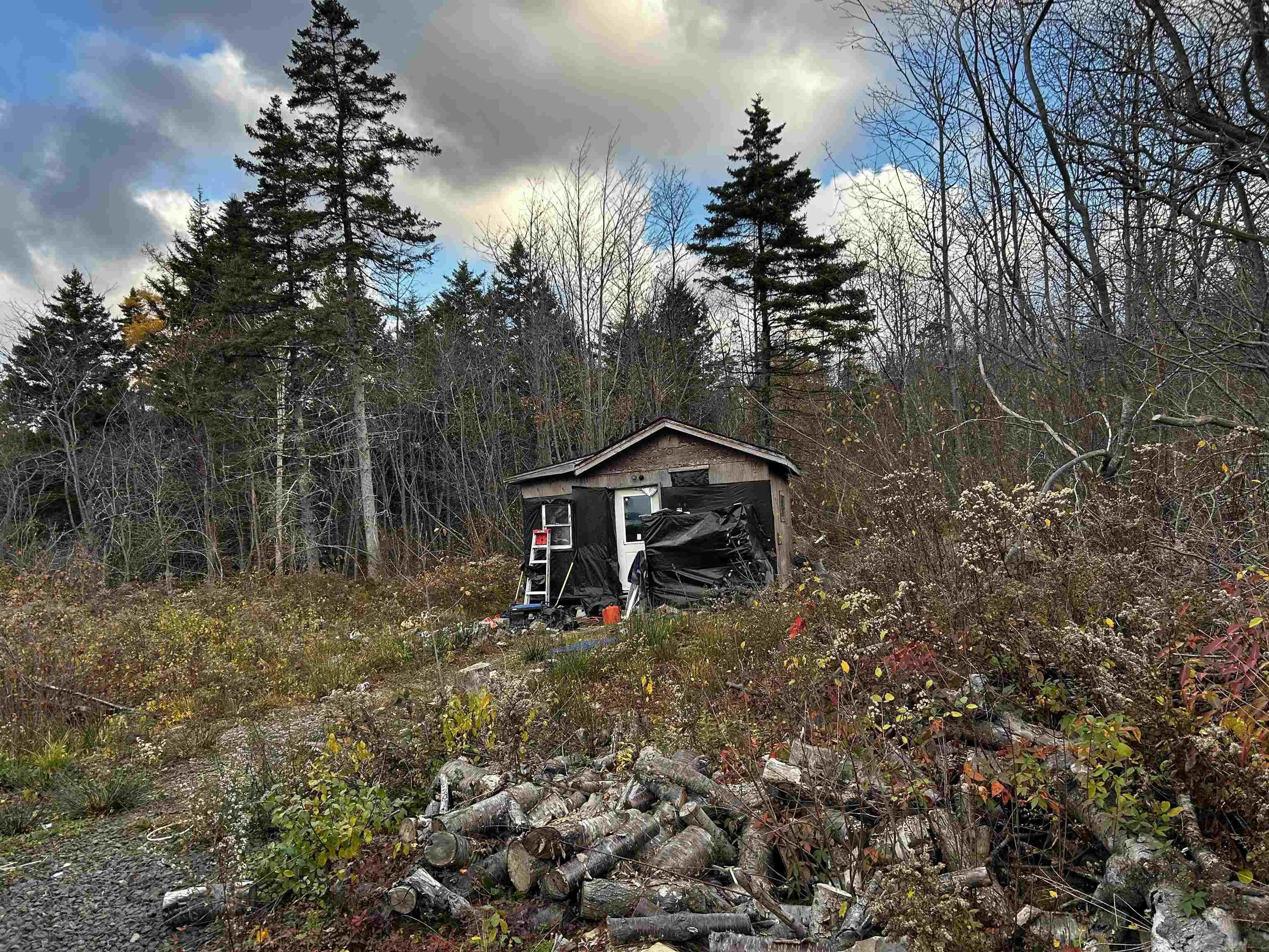 381 Marshalltown Road, Marshalltown, NS B0V 1A0, ,Land,For Sale,Marshalltown,202513285