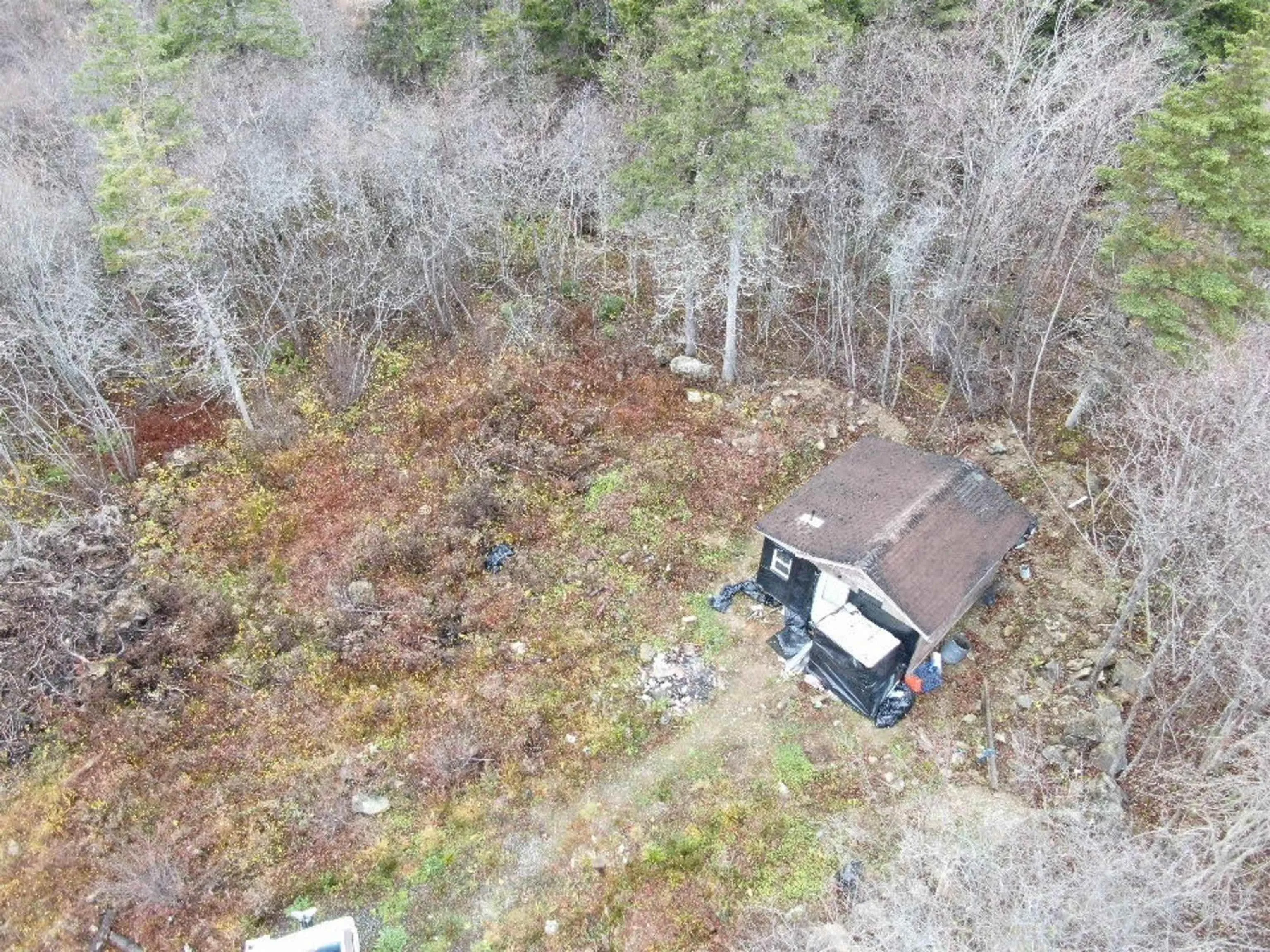 381 Marshalltown Road, Marshalltown, NS B0V 1A0, ,Land,For Sale,Marshalltown,202513285