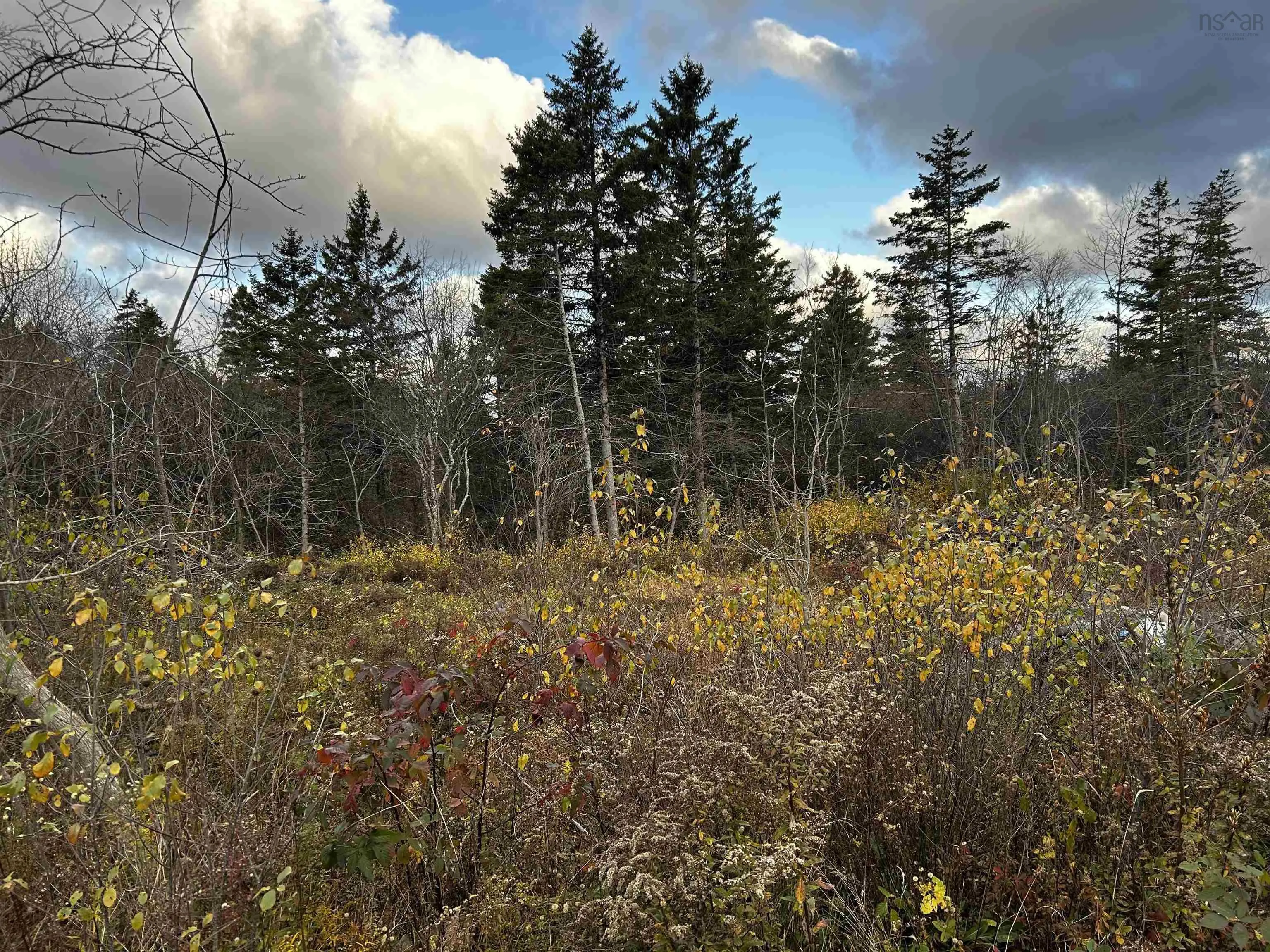 381 Marshalltown Road, Marshalltown, NS B0V 1A0, ,Land,For Sale,Marshalltown,202513285