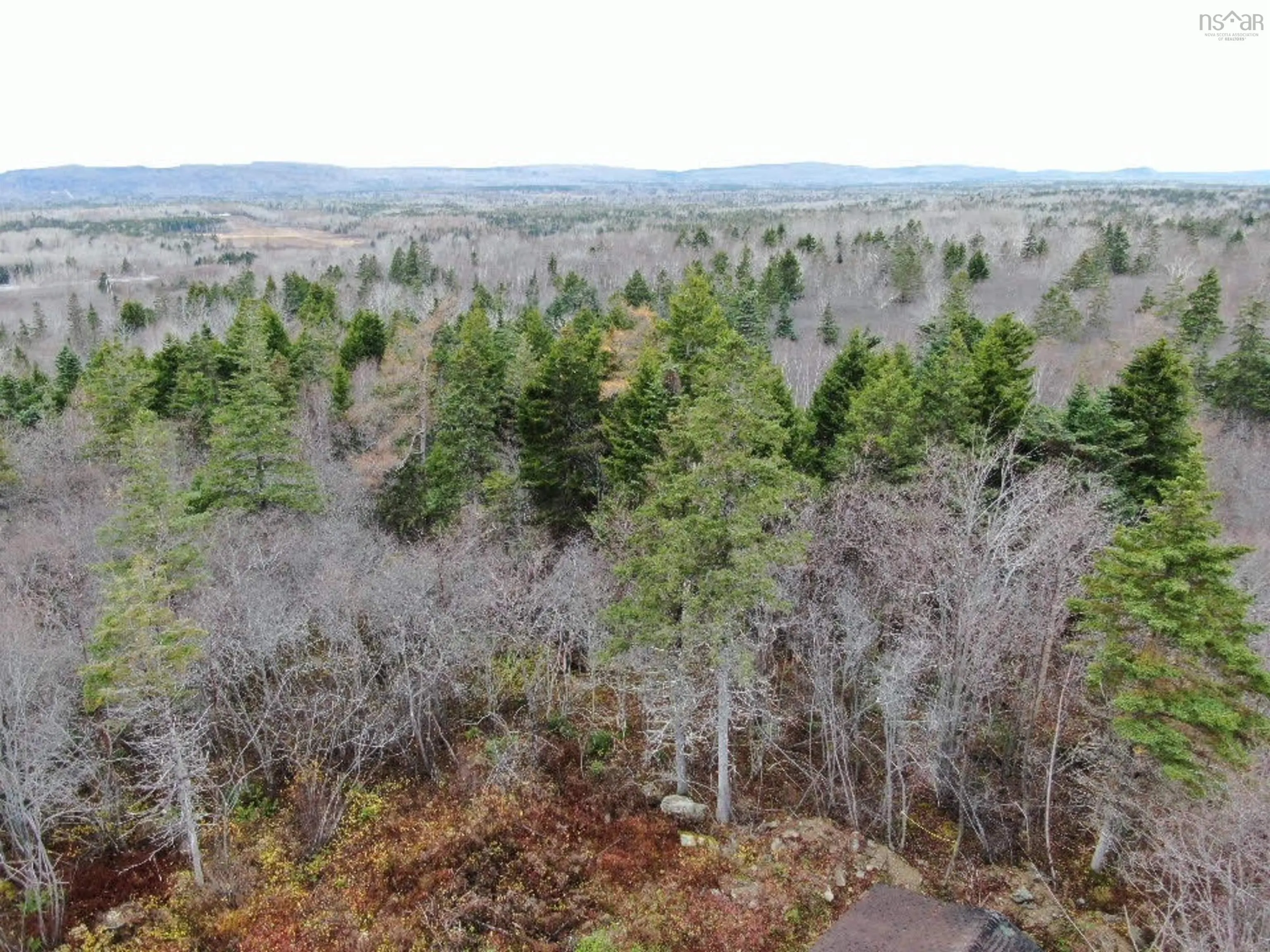381 Marshalltown Road, Marshalltown, NS B0V 1A0, ,Land,For Sale,Marshalltown,202513285