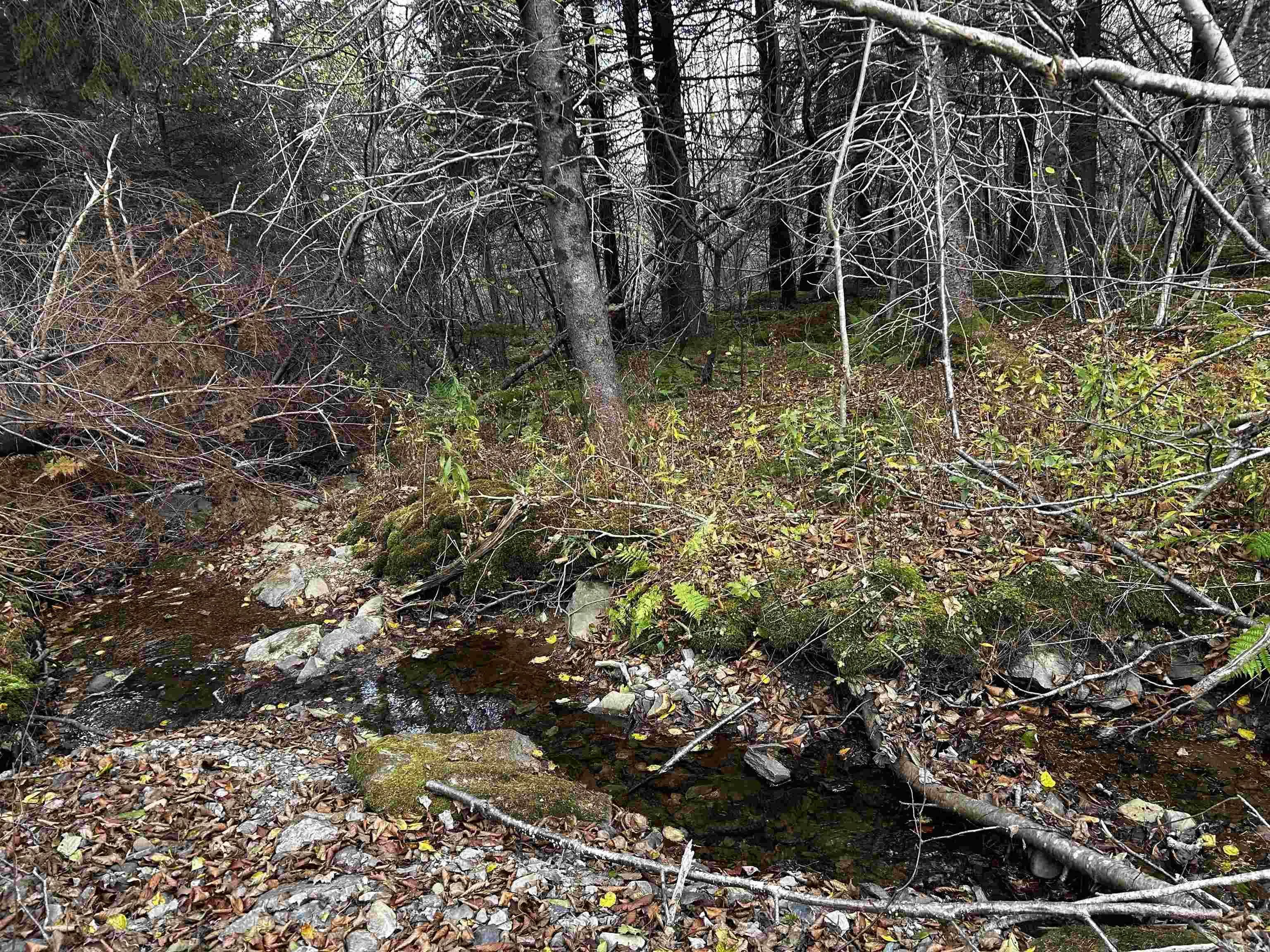 381 Marshalltown Road, Marshalltown, NS B0V 1A0, ,Land,For Sale,Marshalltown,202513285