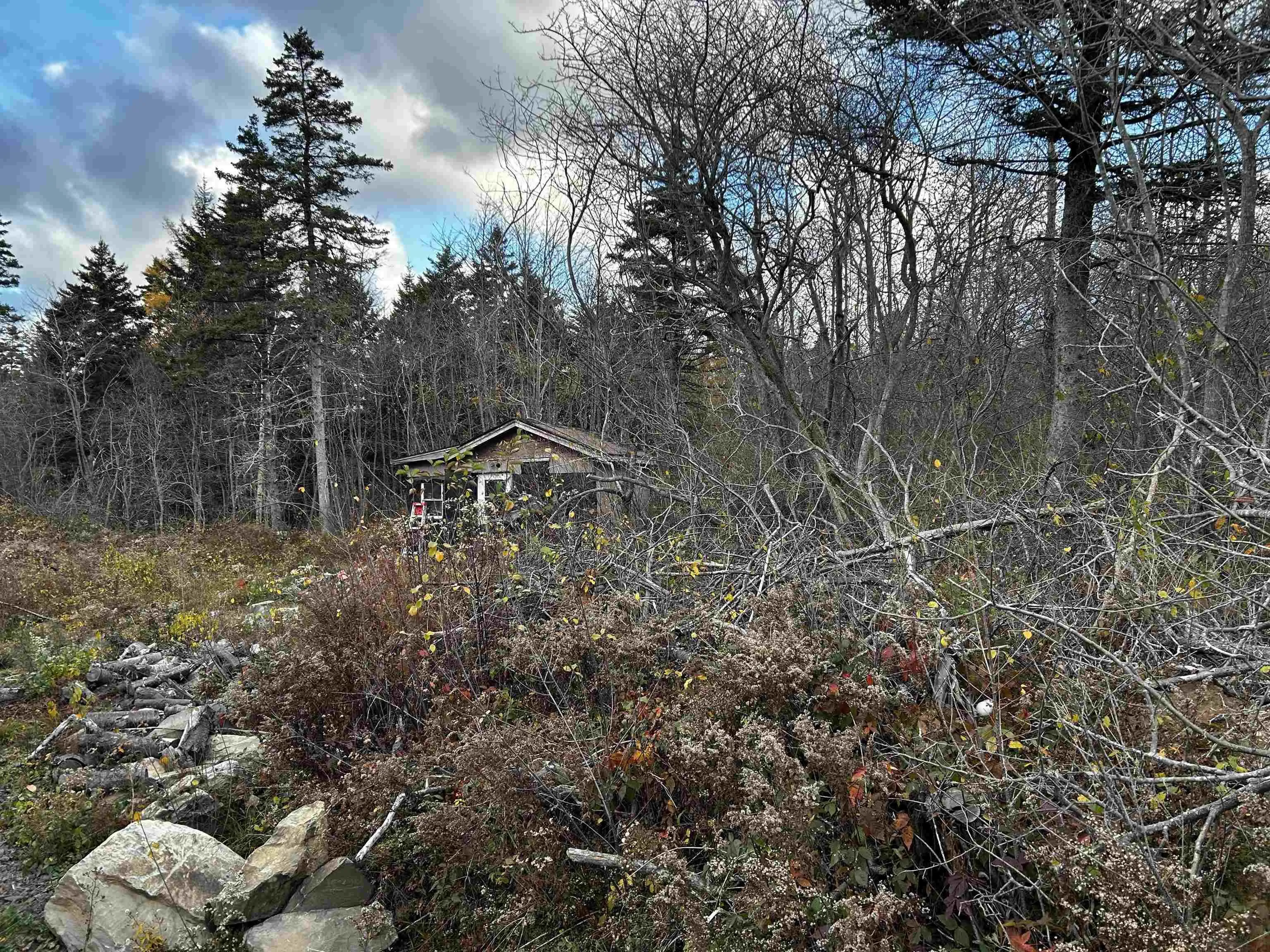 381 Marshalltown Road, Marshalltown, NS B0V 1A0, ,Land,For Sale,Marshalltown,202513285