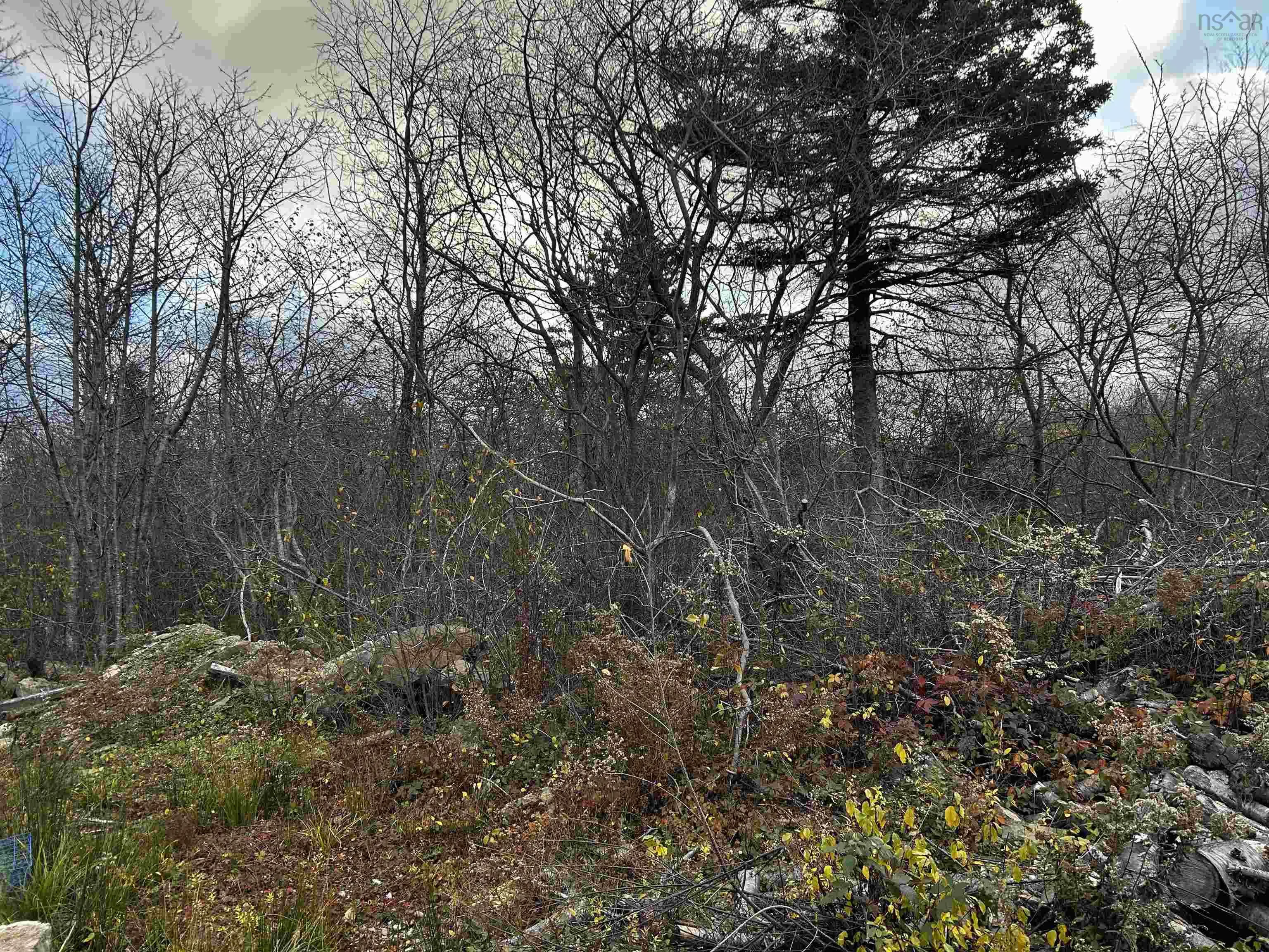 381 Marshalltown Road, Marshalltown, NS B0V 1A0, ,Land,For Sale,Marshalltown,202513285