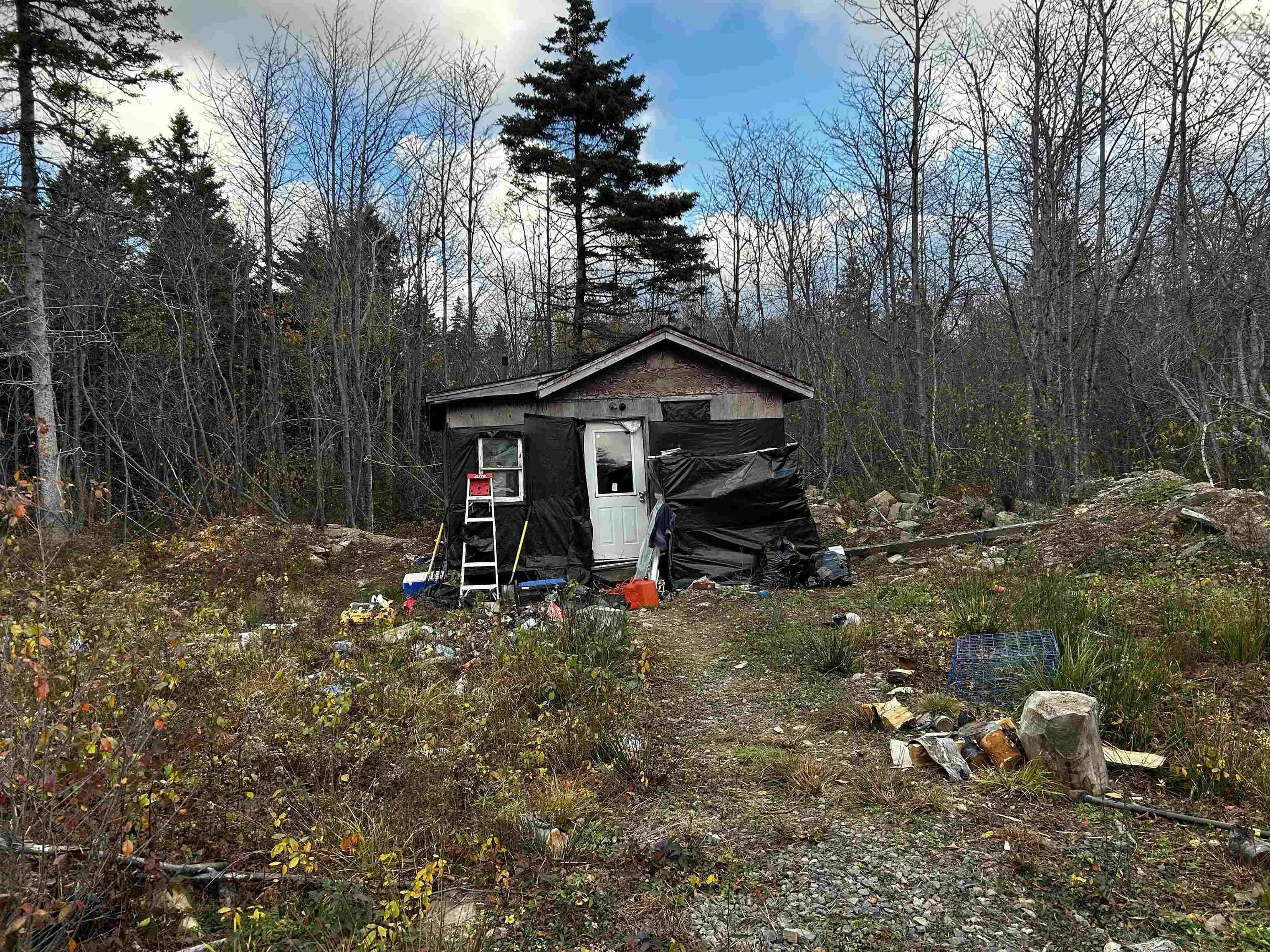 381 Marshalltown Road, Marshalltown, NS B0V 1A0, ,Land,For Sale,Marshalltown,202513285