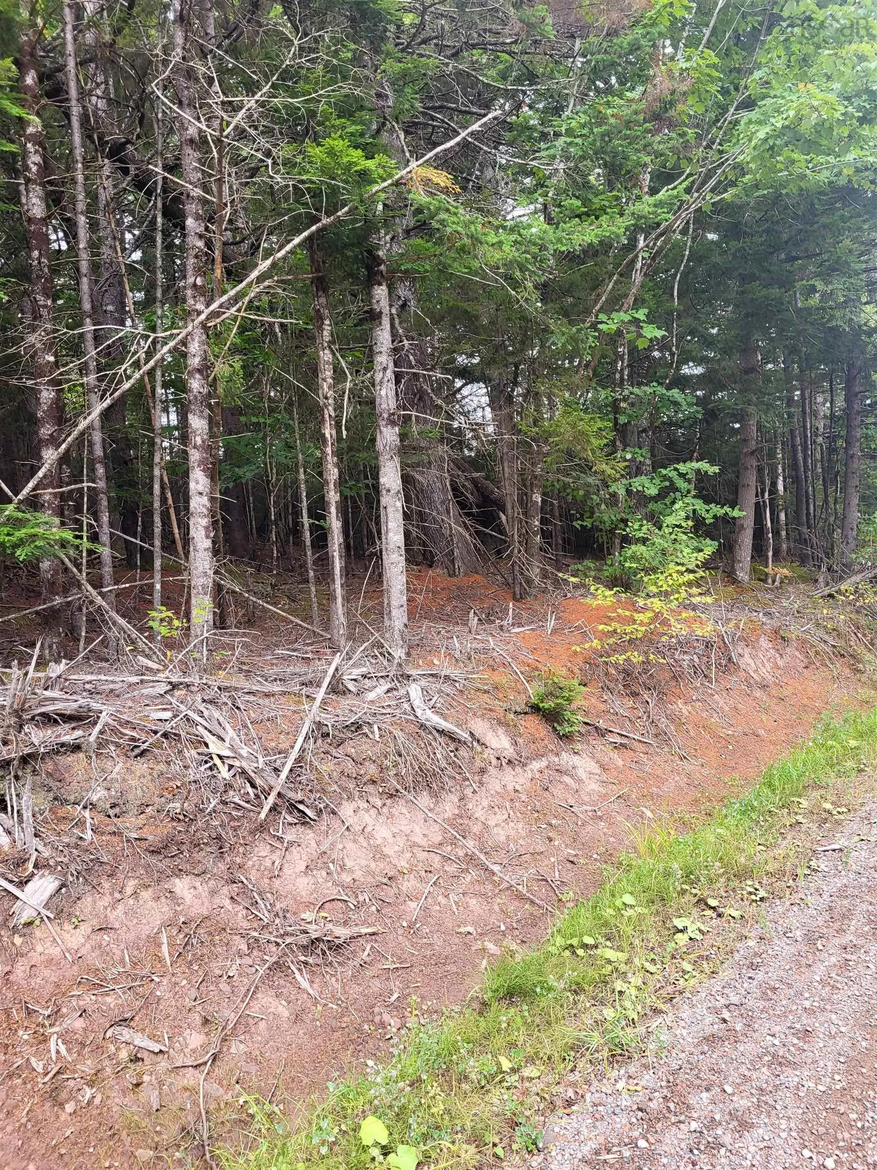 03-3 Reid Road, Debert, NS B0M 1G0, ,Land,For Sale,Reid,202523189