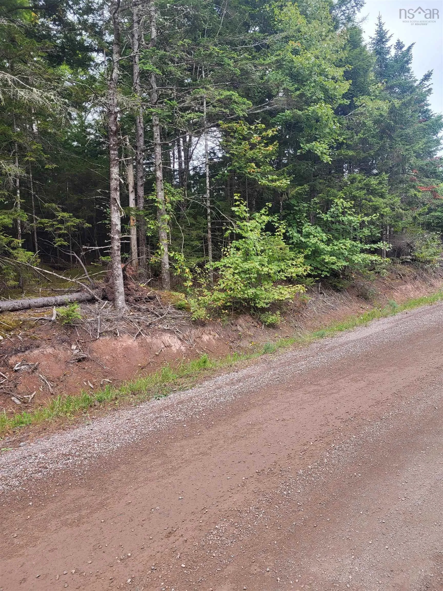03-3 Reid Road, Debert, NS B0M 1G0, ,Land,For Sale,Reid,202523189
