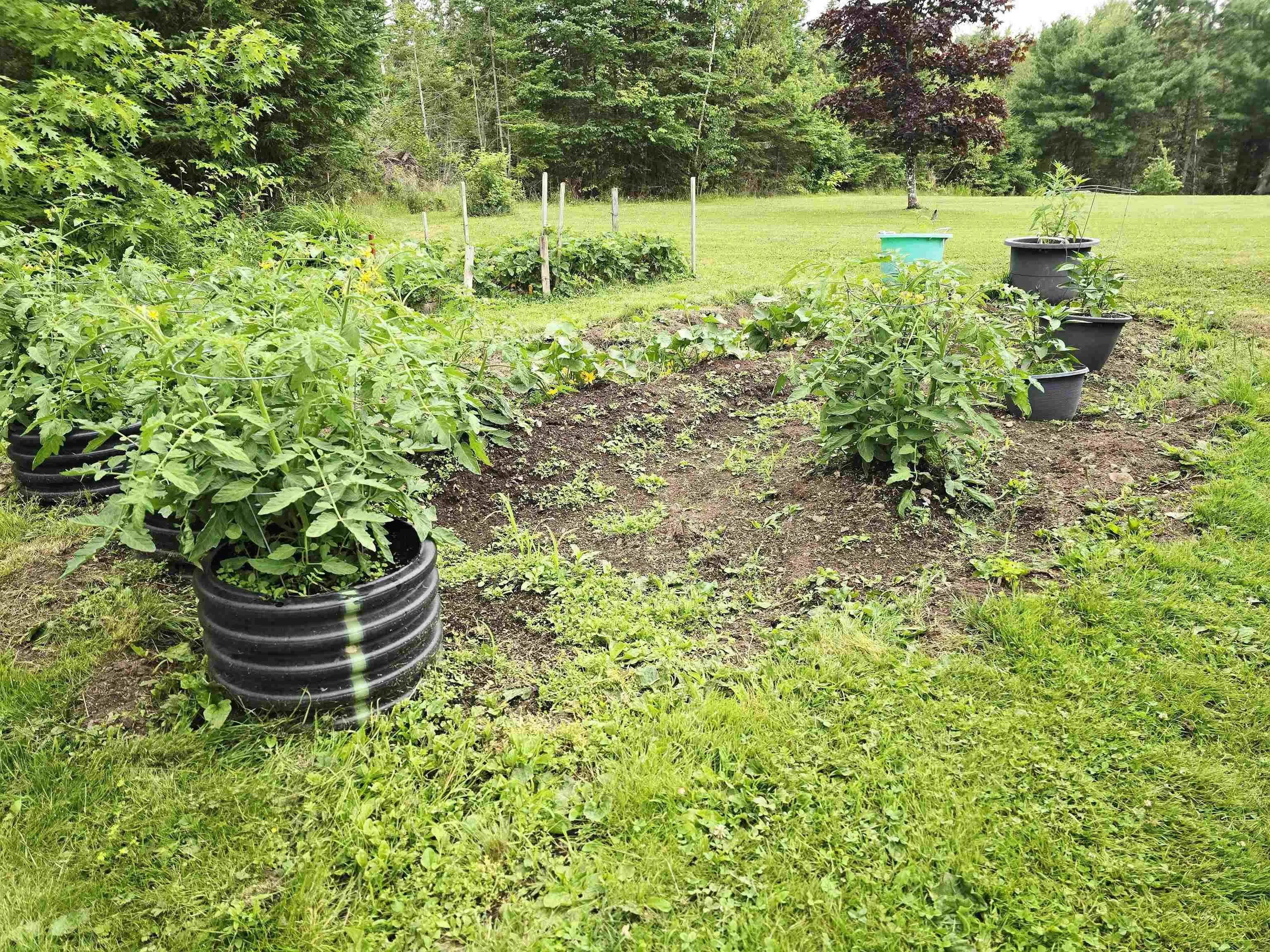 2930 Gairloch Road, Rocklin, NS B0K 2A0, 3 Bedrooms Bedrooms, ,1 BathroomBathrooms,Residential,For Sale,Gairloch,202517654
