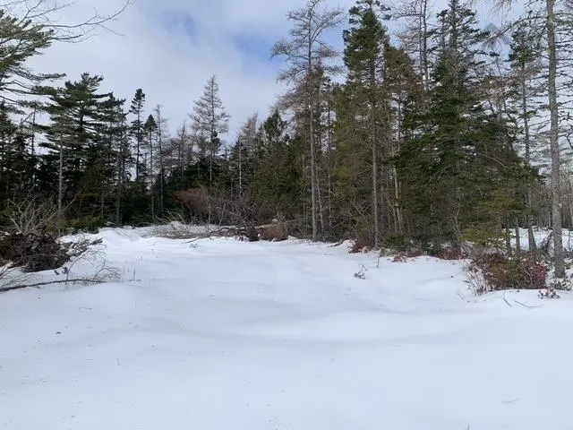 309 Upper Lakeville Road, Upper Lakeville, NS B0J 2L0, ,Land,For Sale,Upper Lakeville,202519939