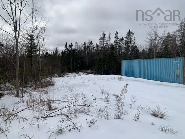 309 Upper Lakeville Road, Upper Lakeville, NS B0J 2L0, ,Land,For Sale,Upper Lakeville,202519939