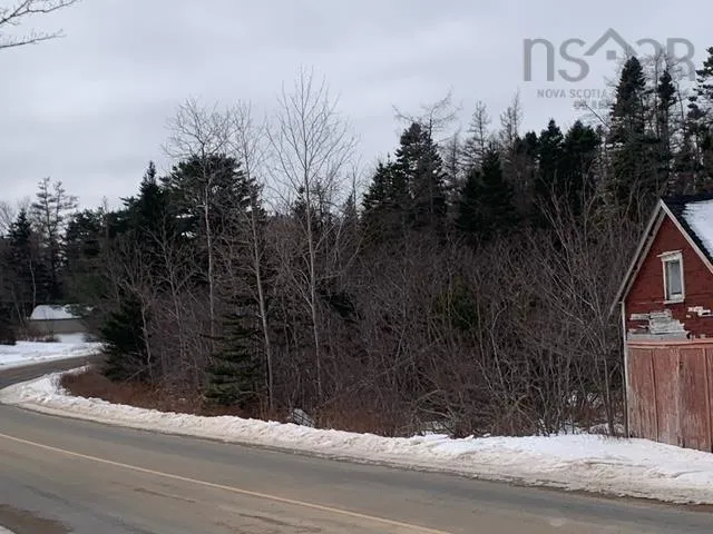 309 Upper Lakeville Road, Upper Lakeville, NS B0J 2L0, ,Land,For Sale,Upper Lakeville,202519939