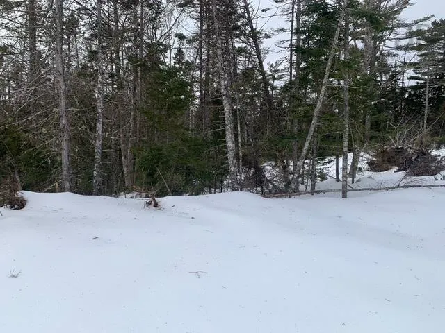 309 Upper Lakeville Road, Upper Lakeville, NS B0J 2L0, ,Land,For Sale,Upper Lakeville,202519939