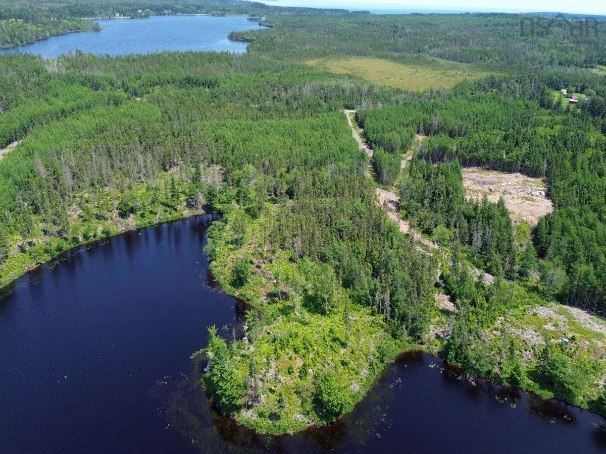 Grandique Road, Arichat, NS B0E 1K0, ,Land,For Sale,Grandique Road,202418363