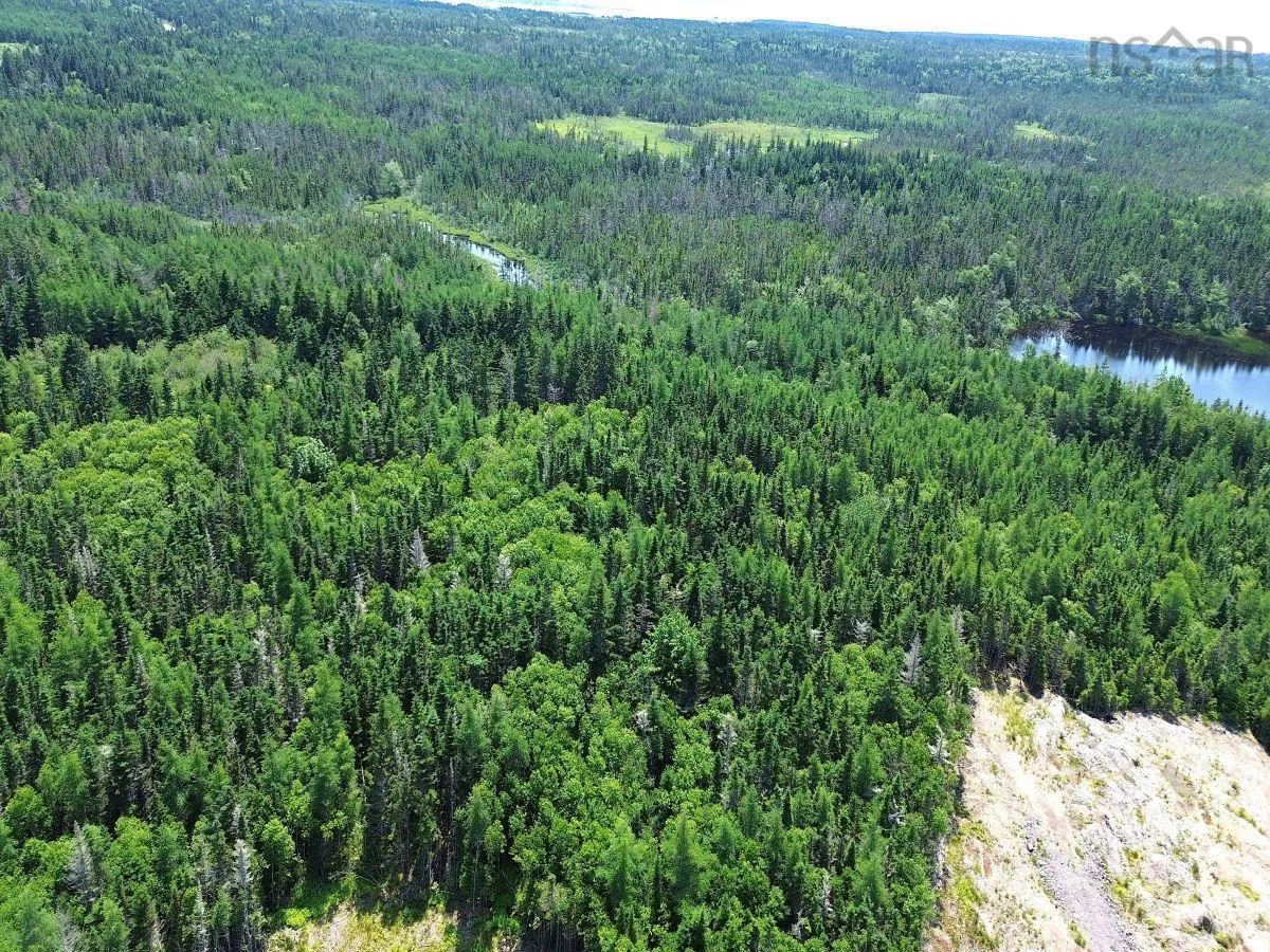 Grandique Road, Arichat, NS B0E 1K0, ,Land,For Sale,Grandique Road,202418363