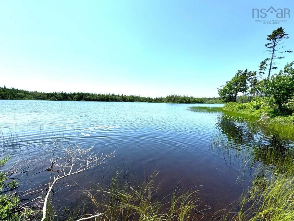 Grandique Road, Arichat, NS B0E 1K0, ,Land,For Sale,Grandique Road,202418363