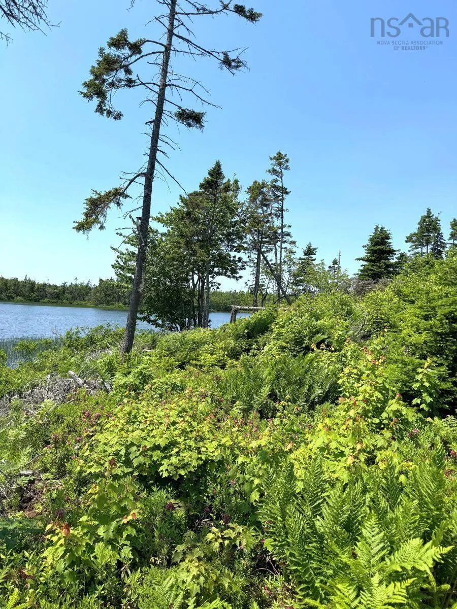 Grandique Road, Arichat, NS B0E 1K0, ,Land,For Sale,Grandique Road,202418363