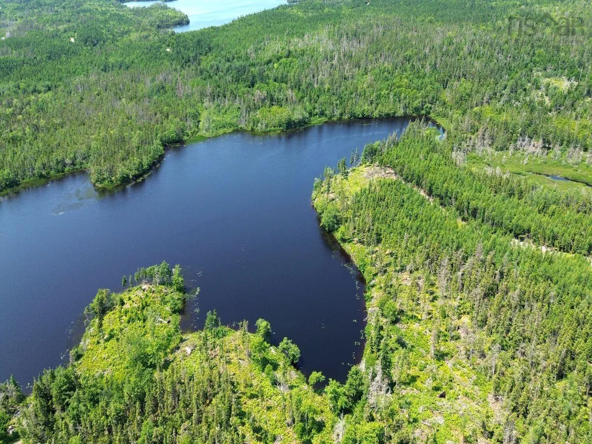 Grandique Road, Arichat, NS B0E 1K0, ,Land,For Sale,Grandique Road,202418363