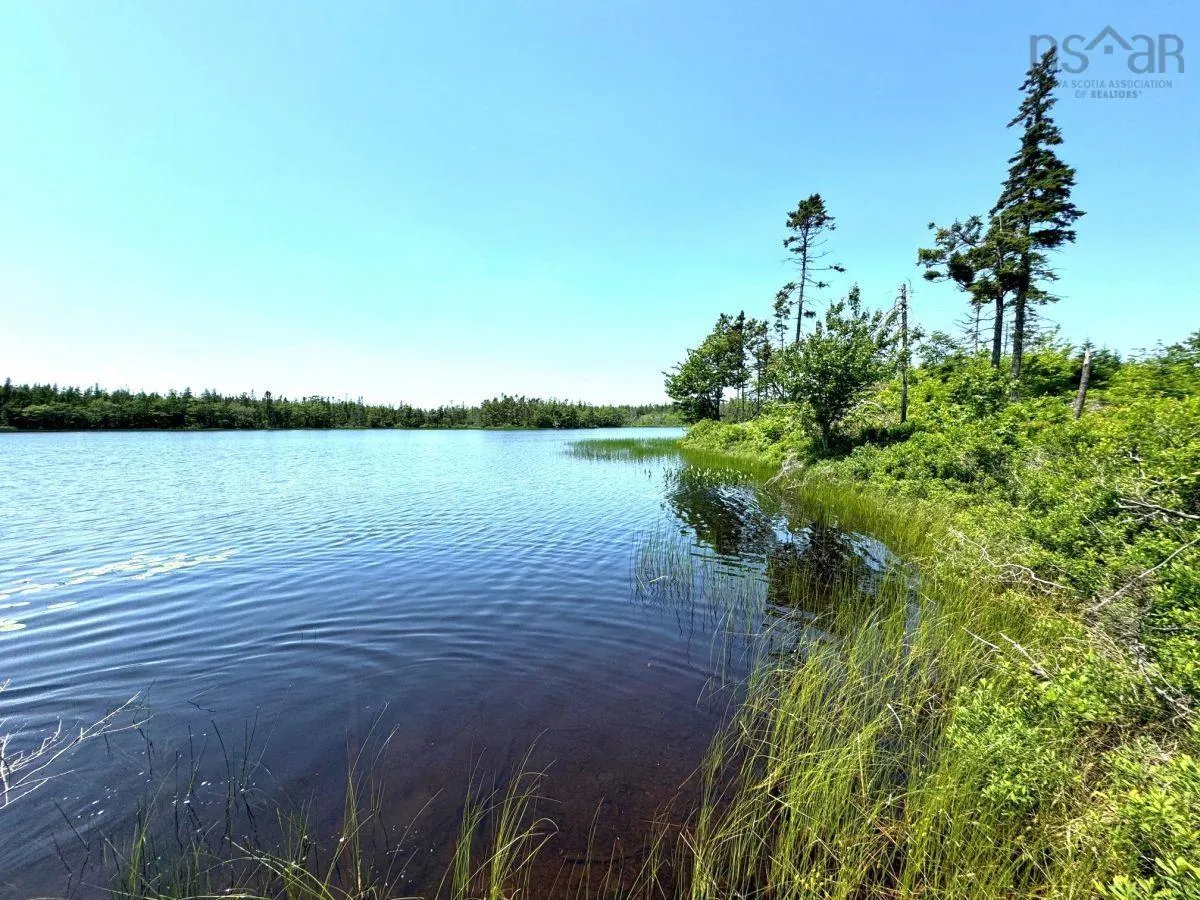 Grandique Road, Arichat, NS B0E 1K0, ,Land,For Sale,Grandique Road,202418363
