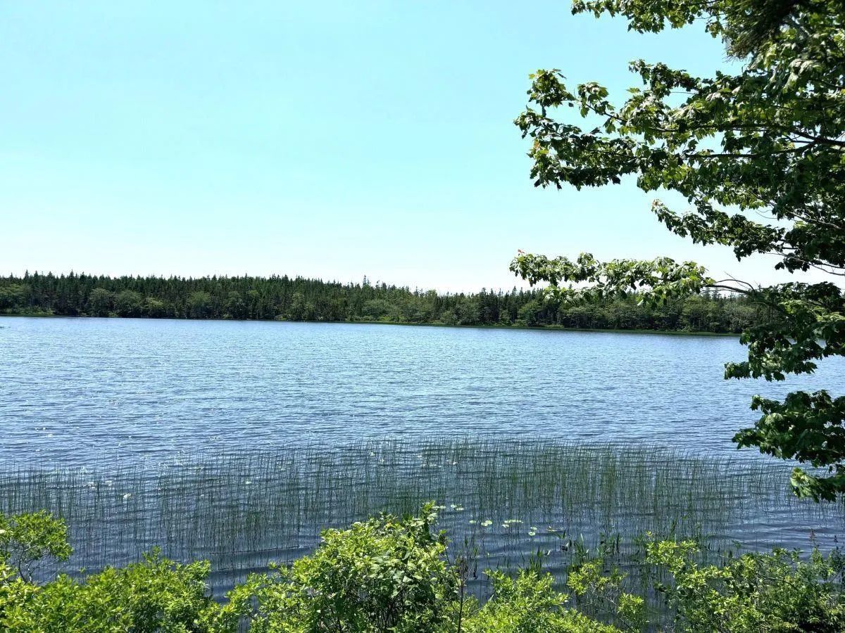 Grandique Road, Arichat, NS B0E 1K0, ,Land,For Sale,Grandique Road,202418363