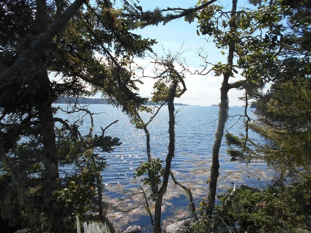 Lot 2 Shad Bay, Shad Bay Ns B3t 2b5, ,Land,For Sale,Shad Bay,202502423