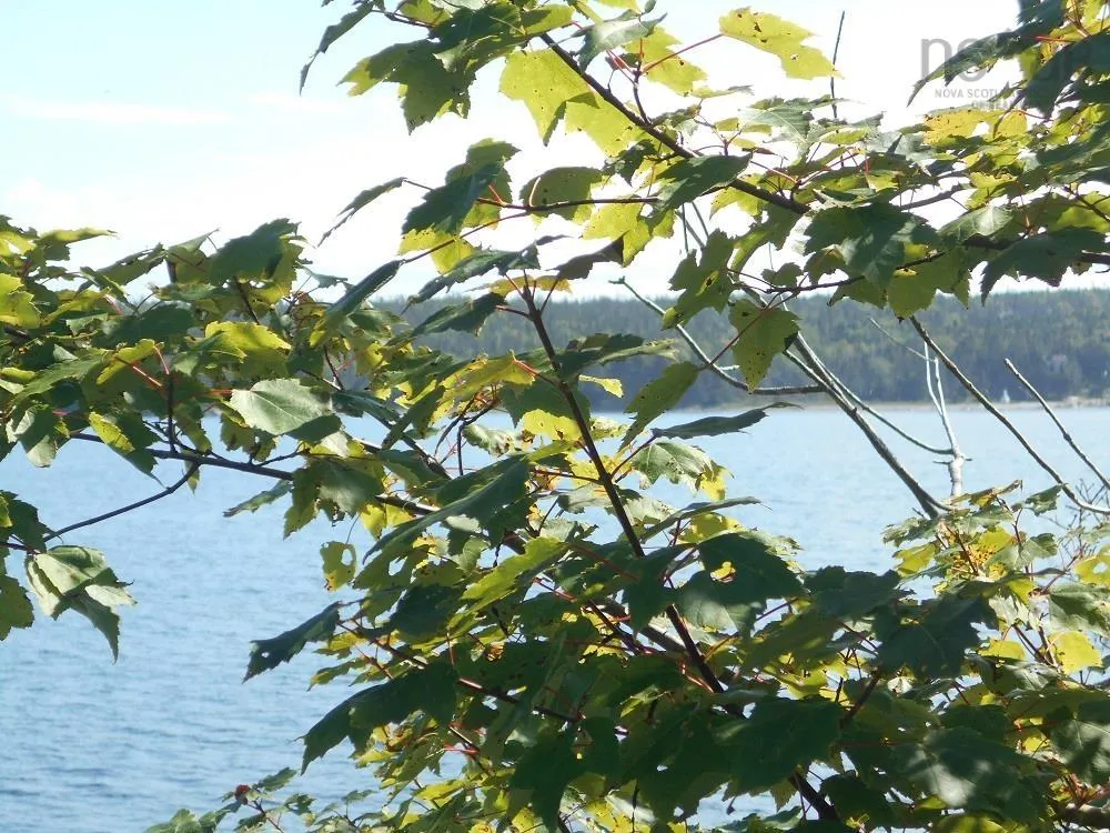 Lot 2 Shad Bay, Shad Bay Ns B3t 2b5, ,Land,For Sale,Shad Bay,202502423