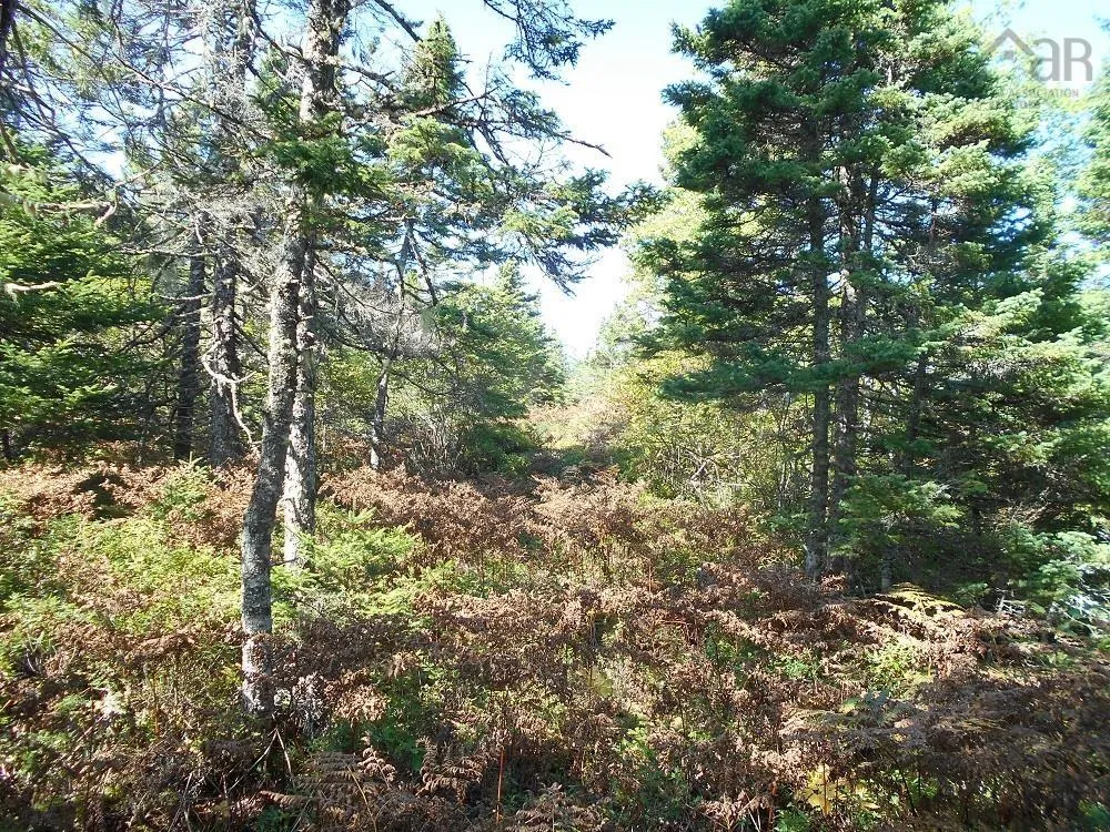 Lot 2 Shad Bay, Shad Bay Ns B3t 2b5, ,Land,For Sale,Shad Bay,202502423