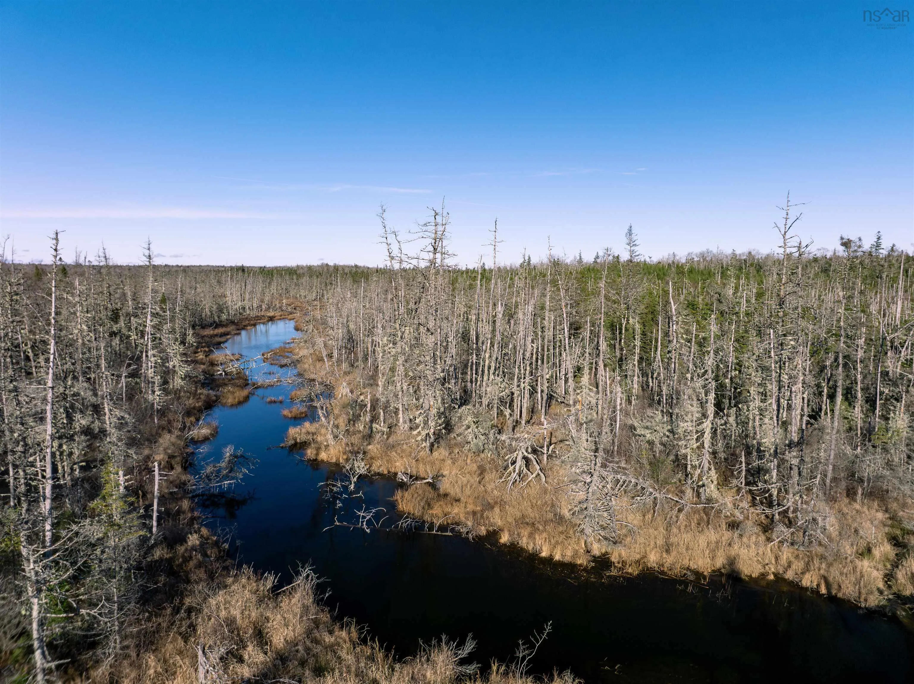 Dufferin Mines Road, Port Dufferin Ns B0j 2r0, ,Land,For Sale,Dufferin Mines,202427572