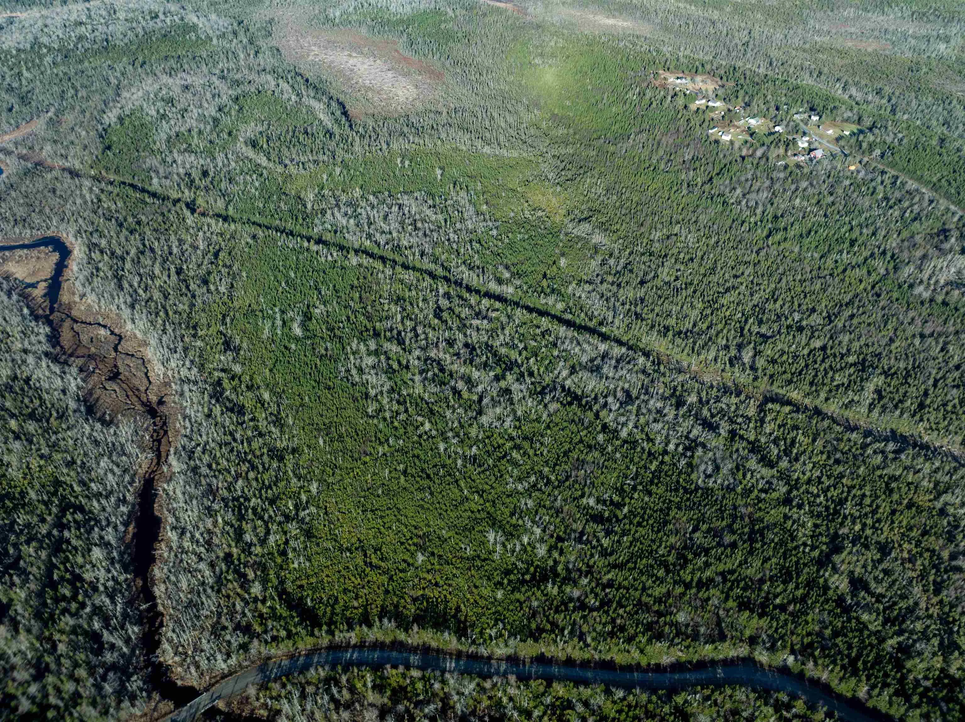 Dufferin Mines Road, Port Dufferin Ns B0j 2r0, ,Land,For Sale,Dufferin Mines,202427572