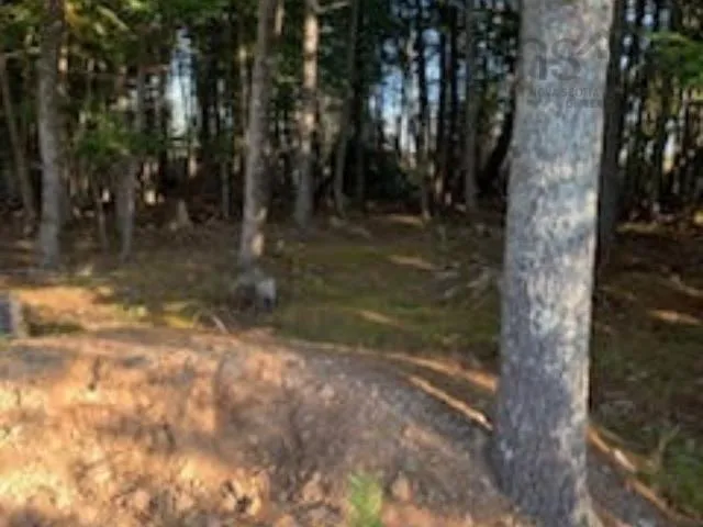 Highway 256, West Branch Ns B0k 1r0, ,Land,For Sale,Highway 256,202500999