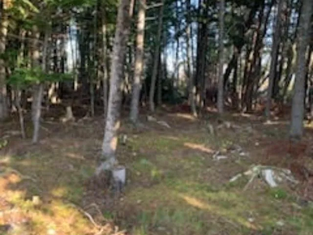 Highway 256, West Branch Ns B0k 1r0, ,Land,For Sale,Highway 256,202500999