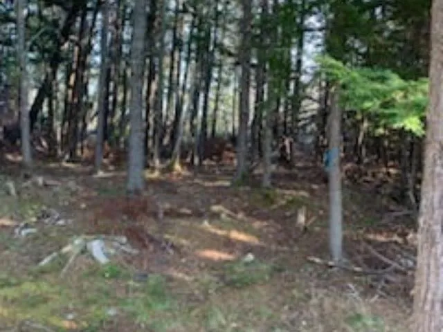 Highway 256, West Branch Ns B0k 1r0, ,Land,For Sale,Highway 256,202500999