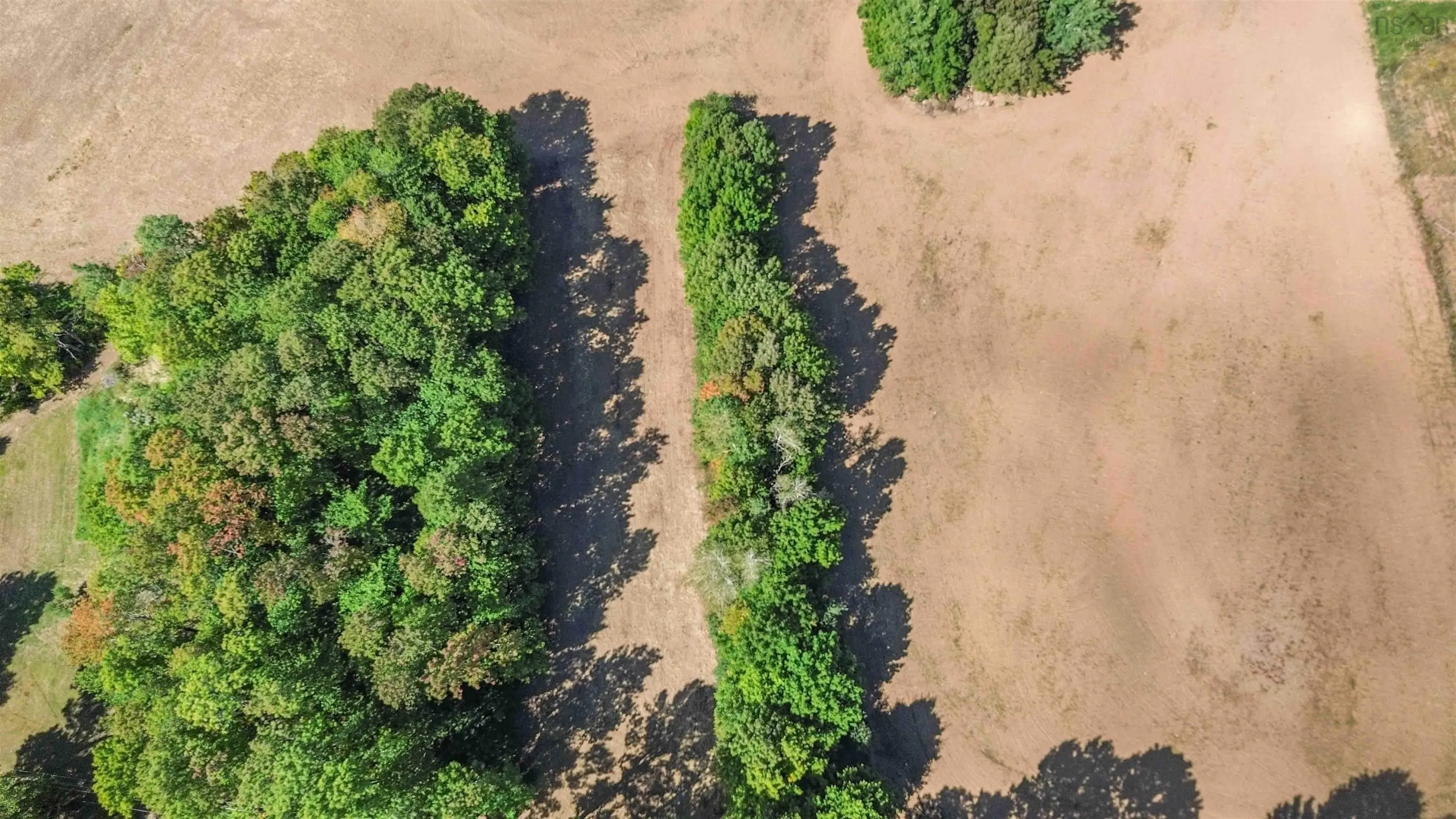 Canaan Road, Morristown, NS B0P 1C0, ,Land,For Sale,Canaan,202523203