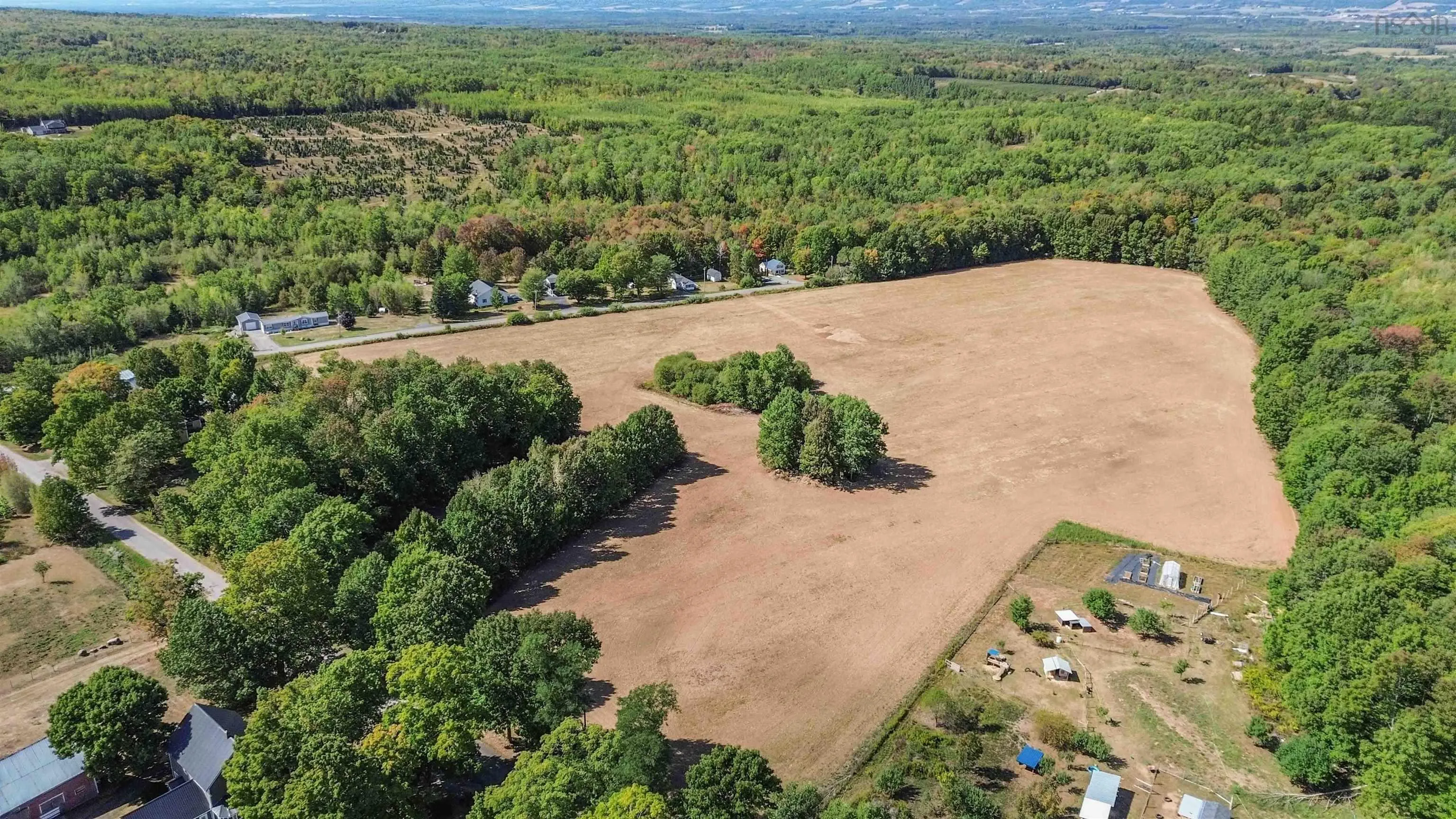 Canaan Road, Morristown, NS B0P 1C0, ,Land,For Sale,Canaan,202523203