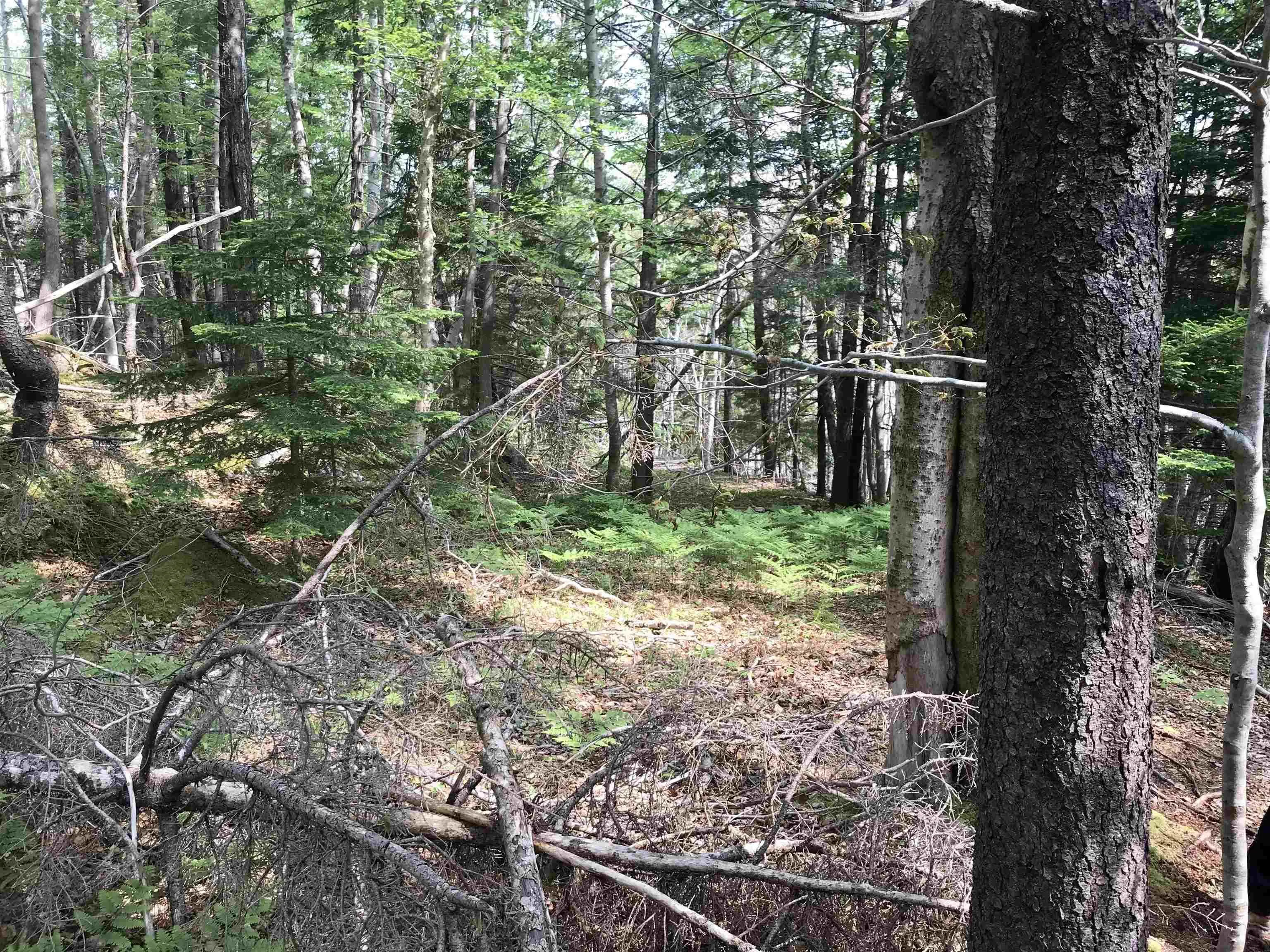 2 Acres Weymouth Falls Road, Weymouth Falls, NS B0W 3T0, ,Land,For Sale,Weymouth Falls,202512826