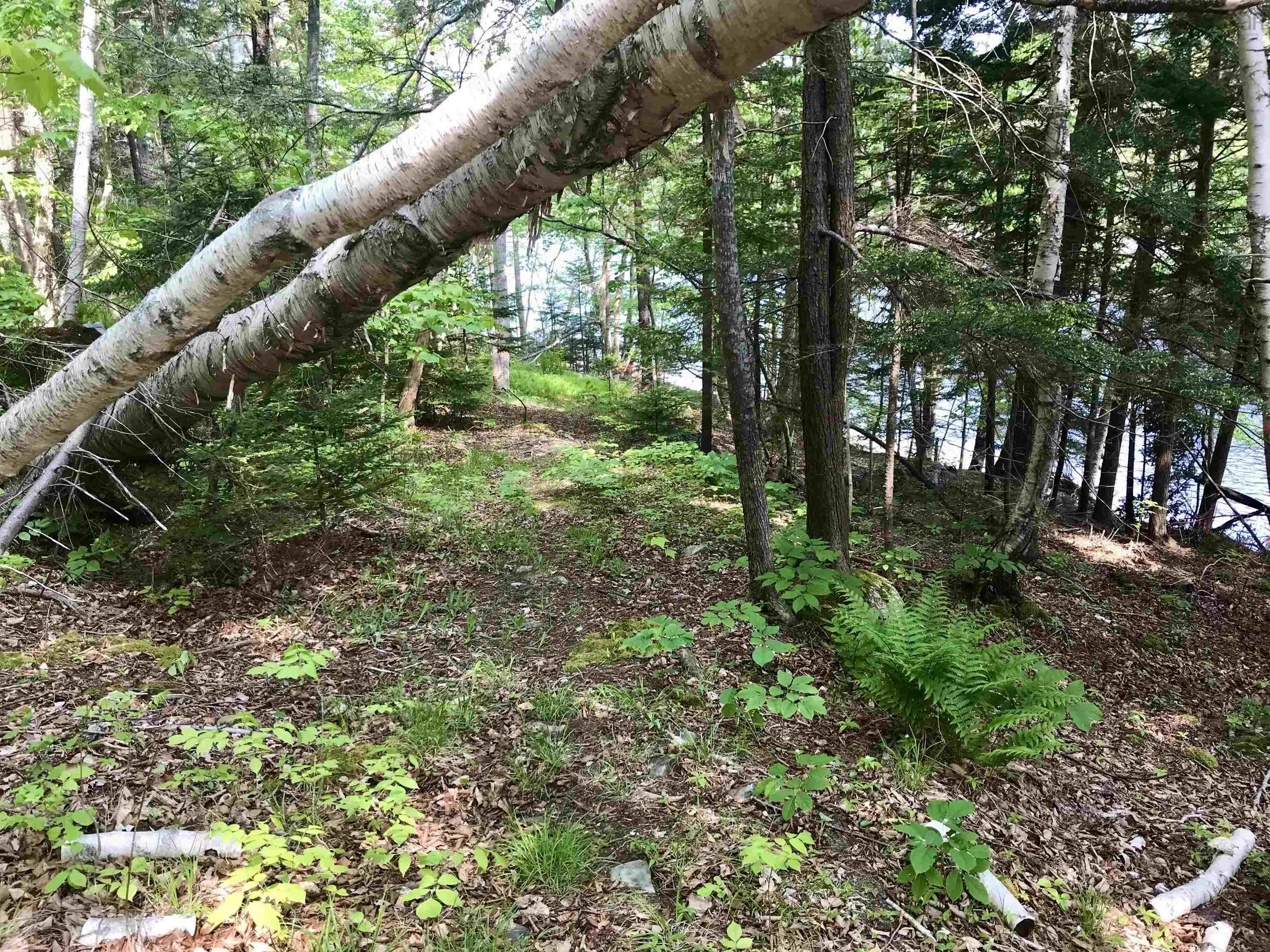 2 Acres Weymouth Falls Road, Weymouth Falls, NS B0W 3T0, ,Land,For Sale,Weymouth Falls,202512826